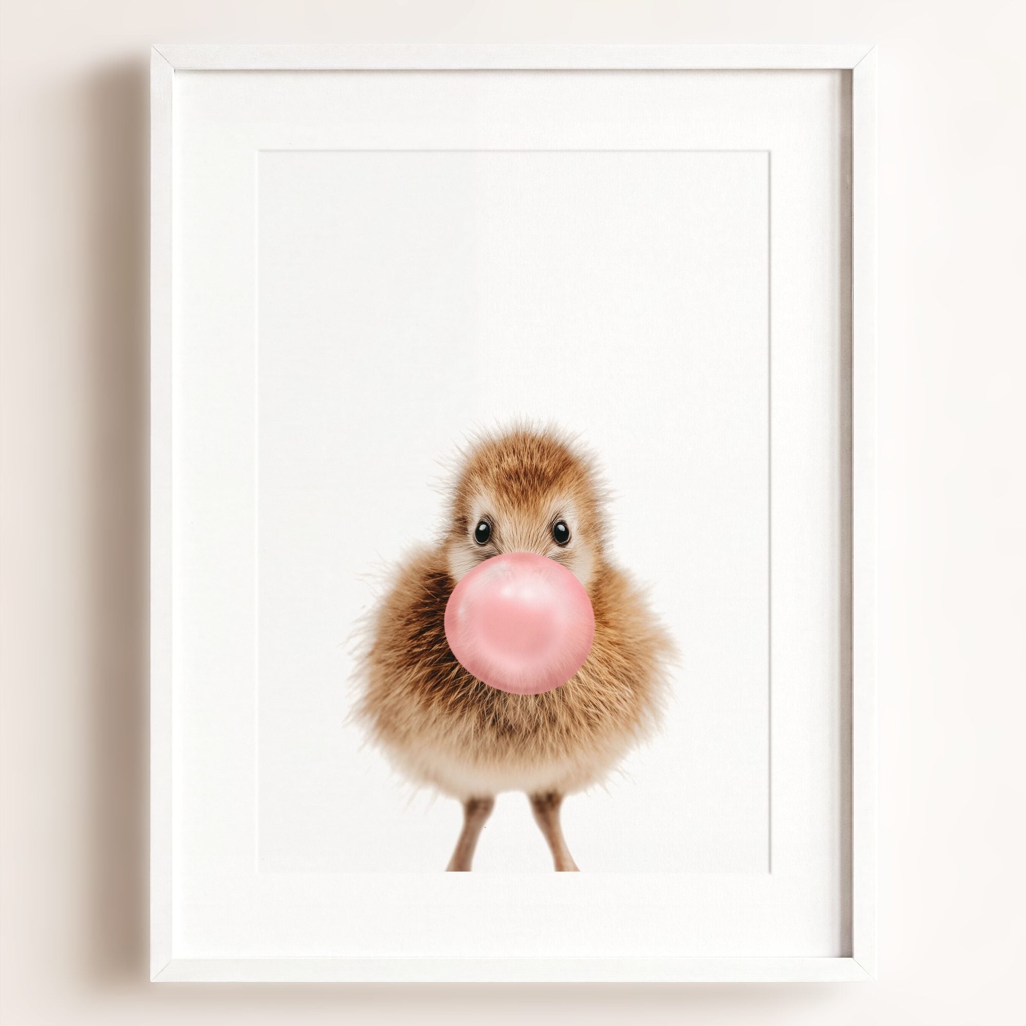 Baby Kiwi Bird