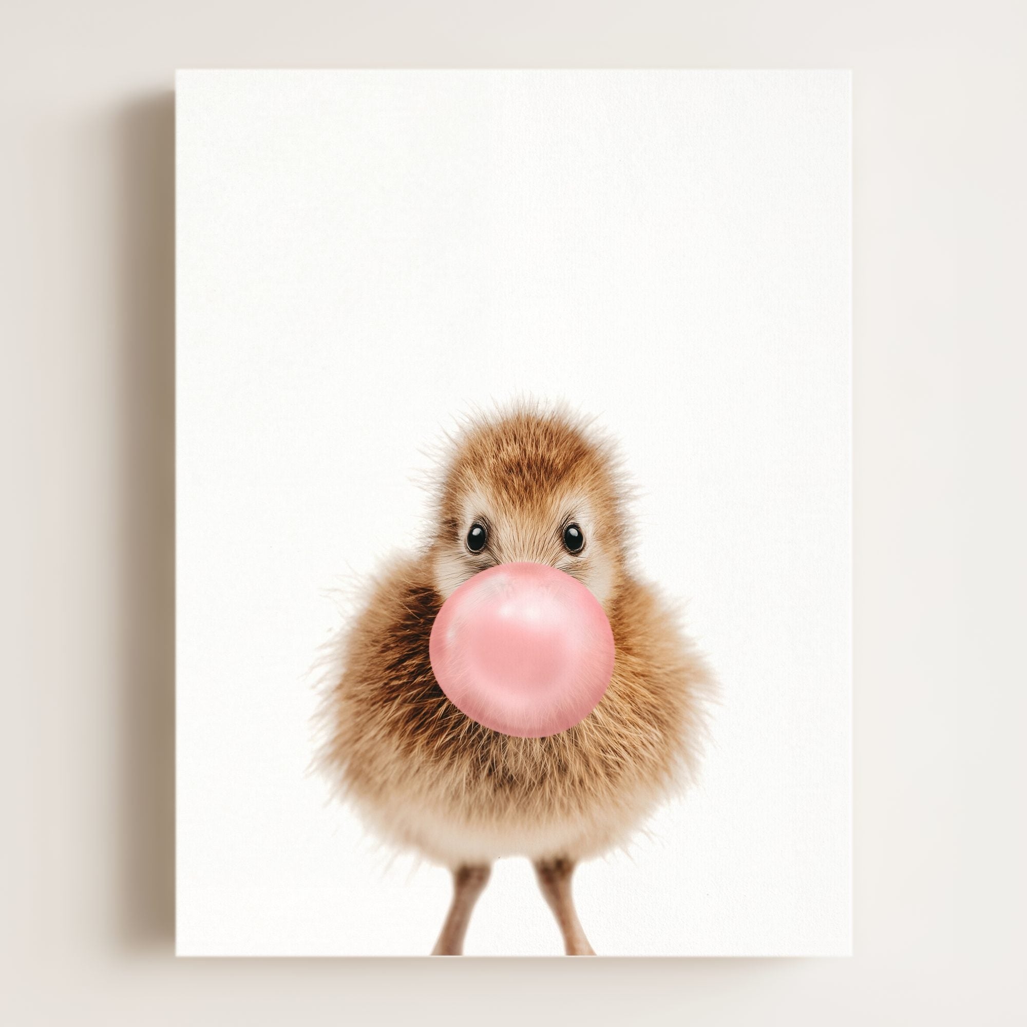 Baby Kiwi Bird
