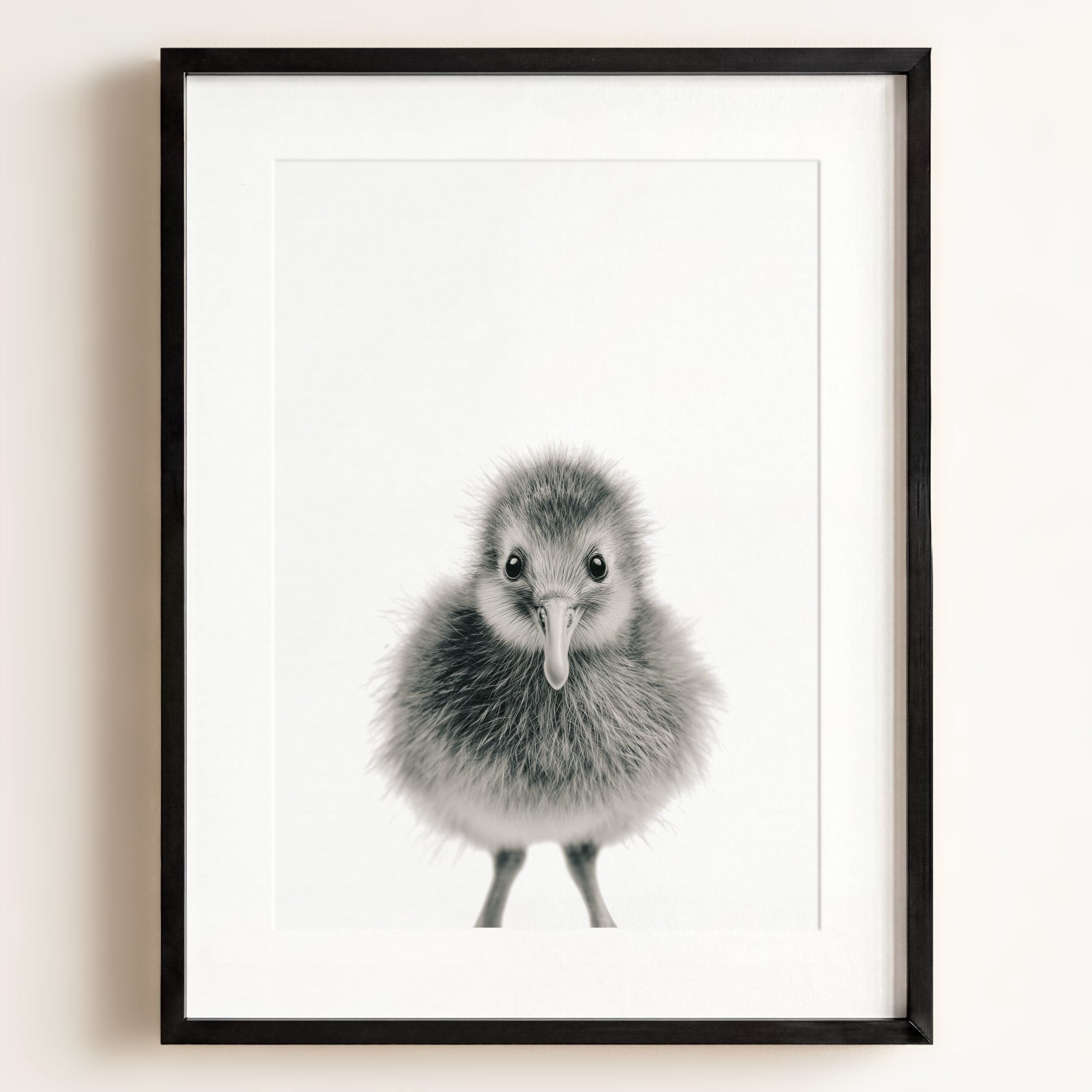 Baby Kiwi Bird