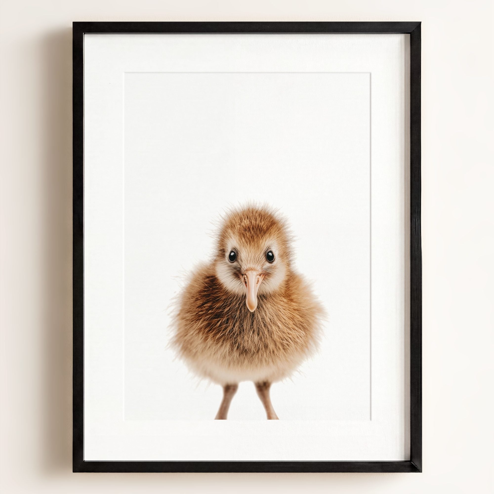 Baby Kiwi Bird