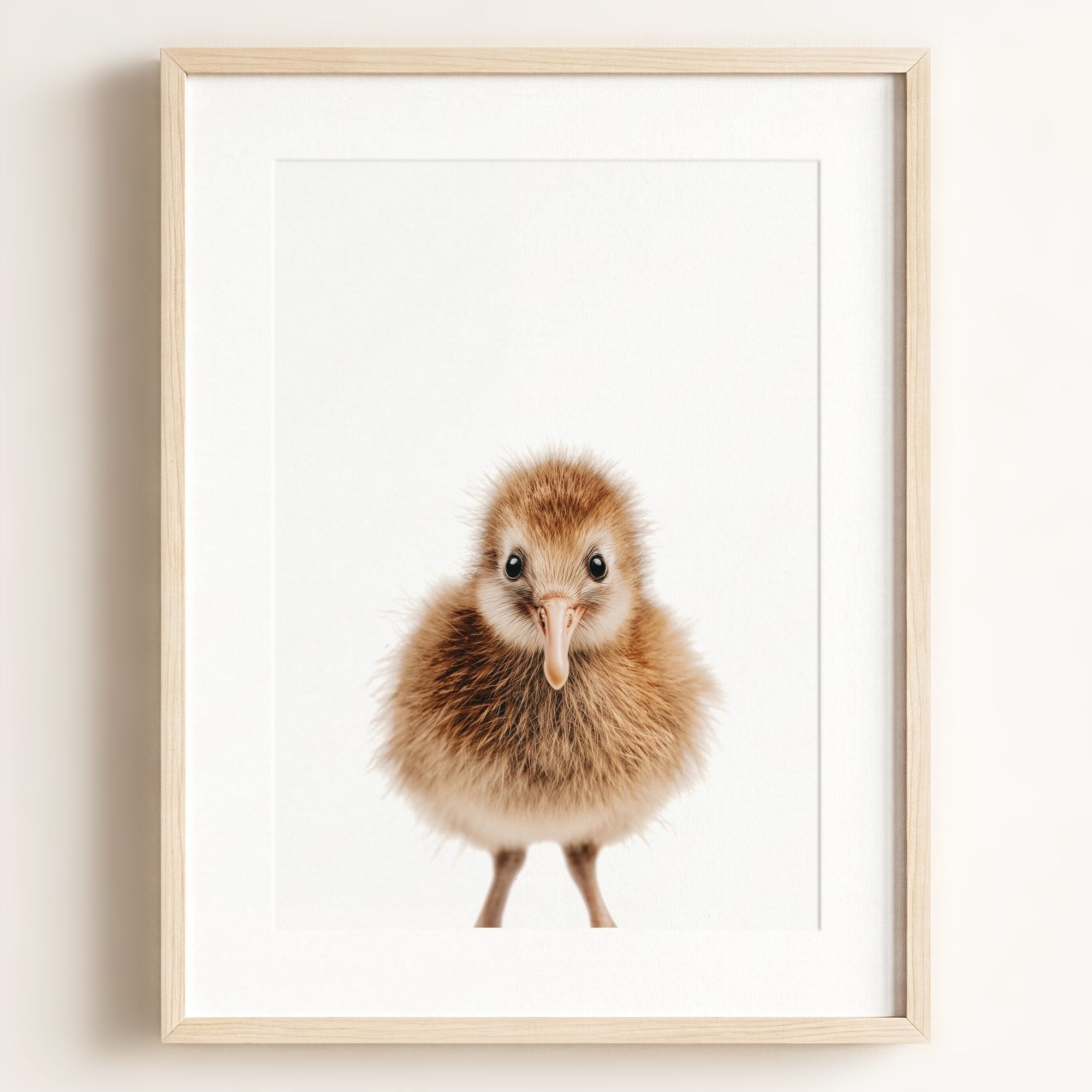 Baby Kiwi Bird