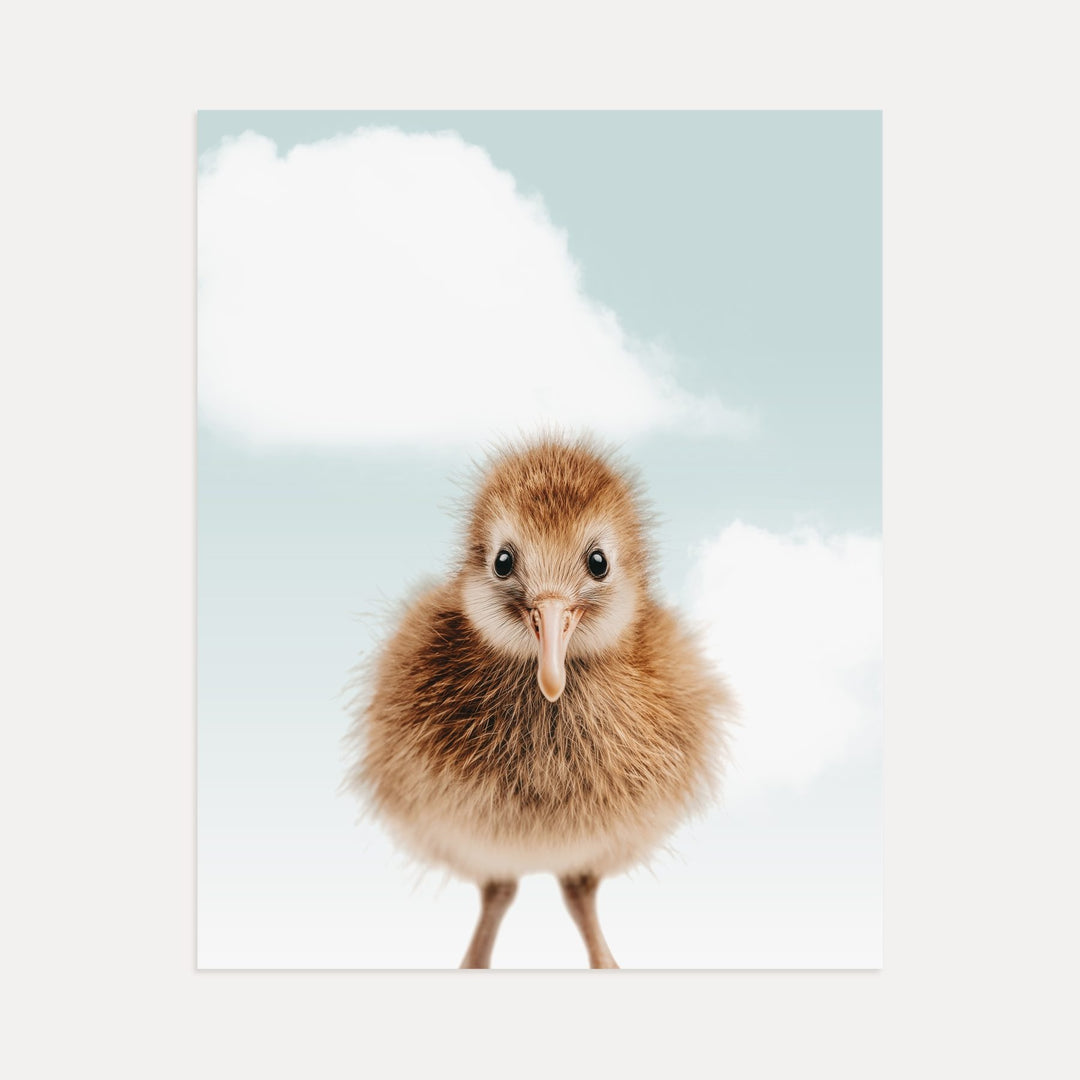 Baby Kiwi Bird
