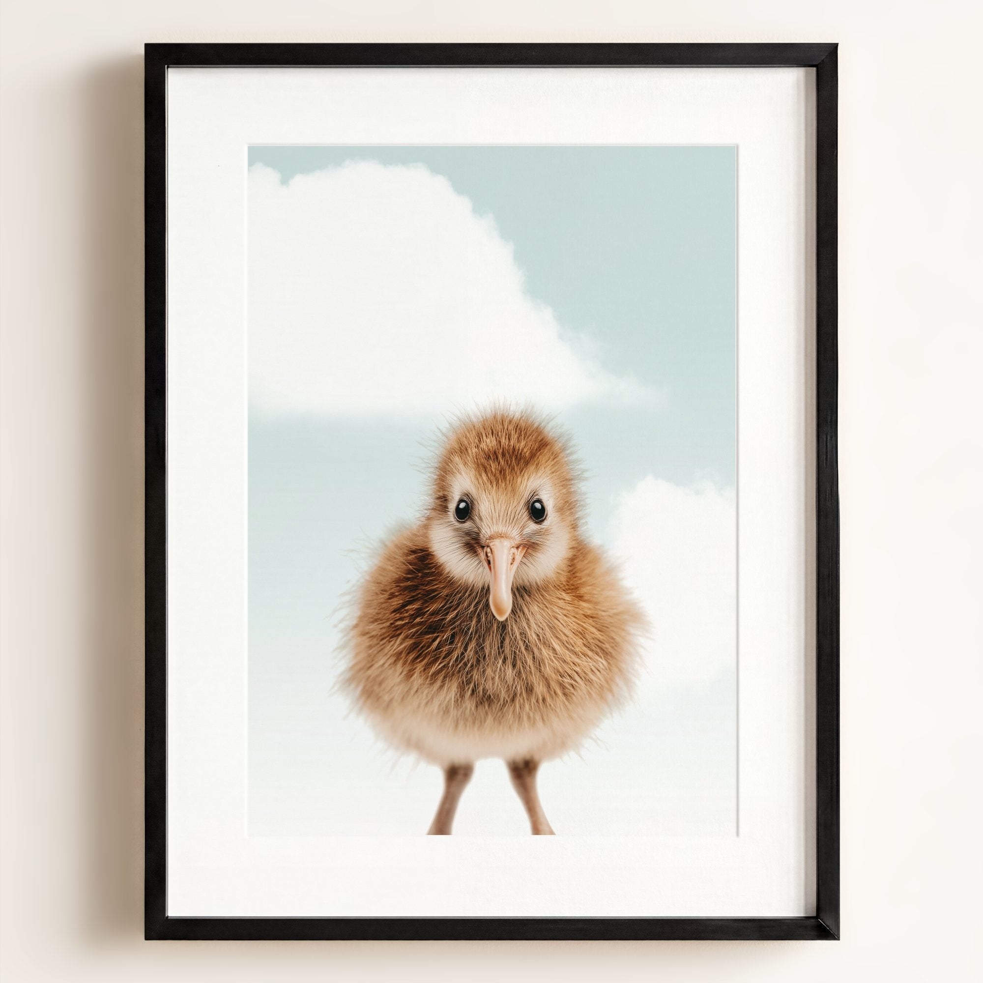 Baby Kiwi Bird
