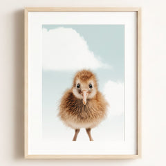 Baby Kiwi Bird