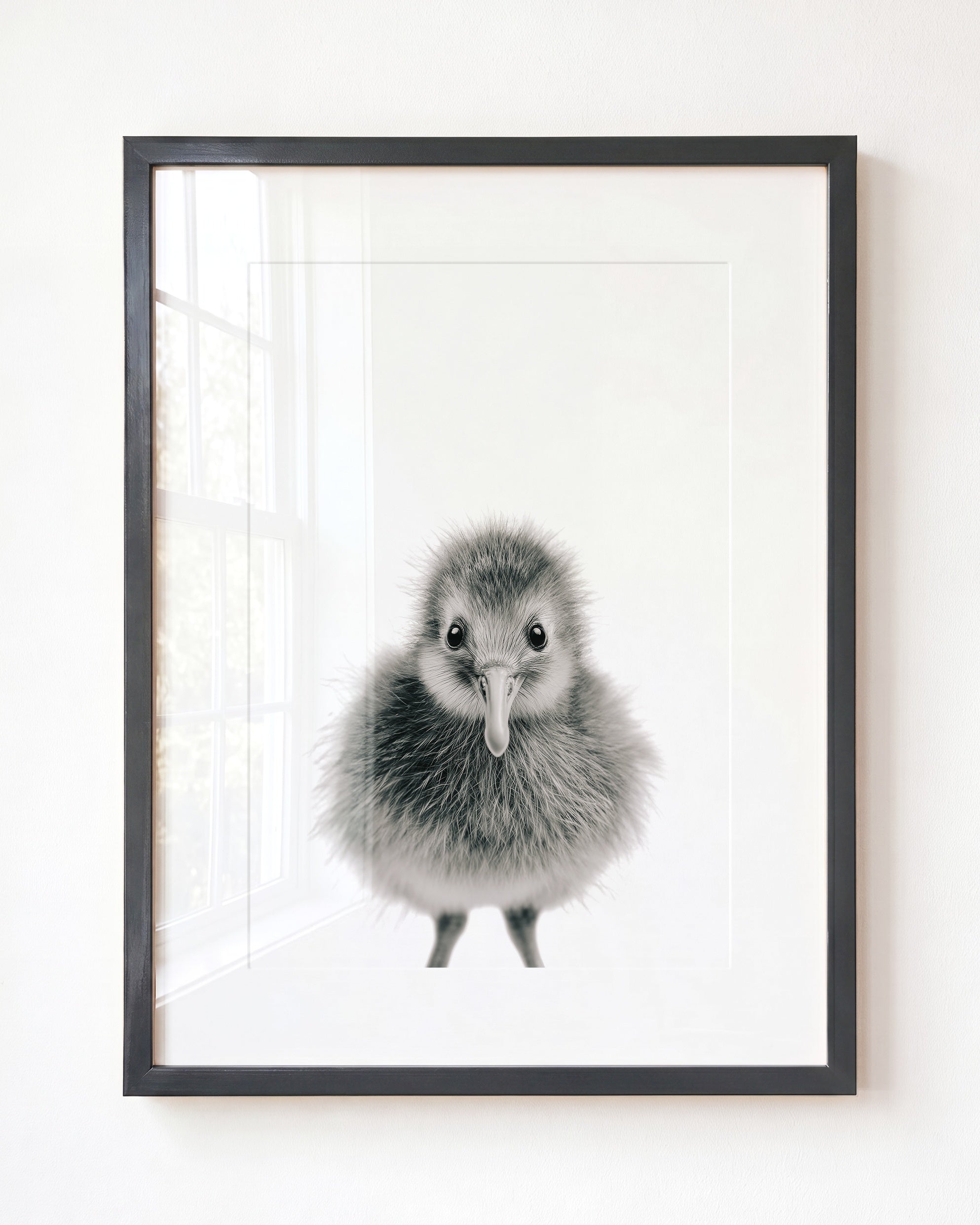 Baby Kiwi Bird