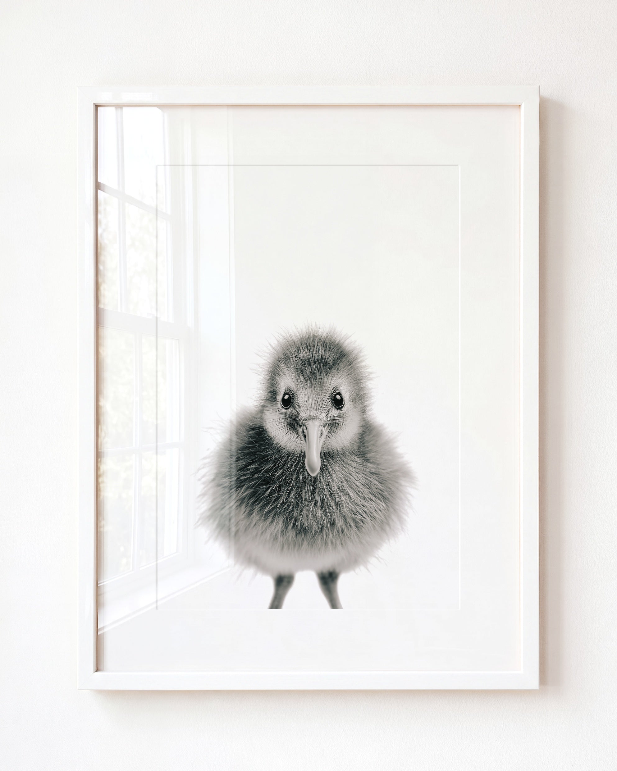 Baby Kiwi Bird