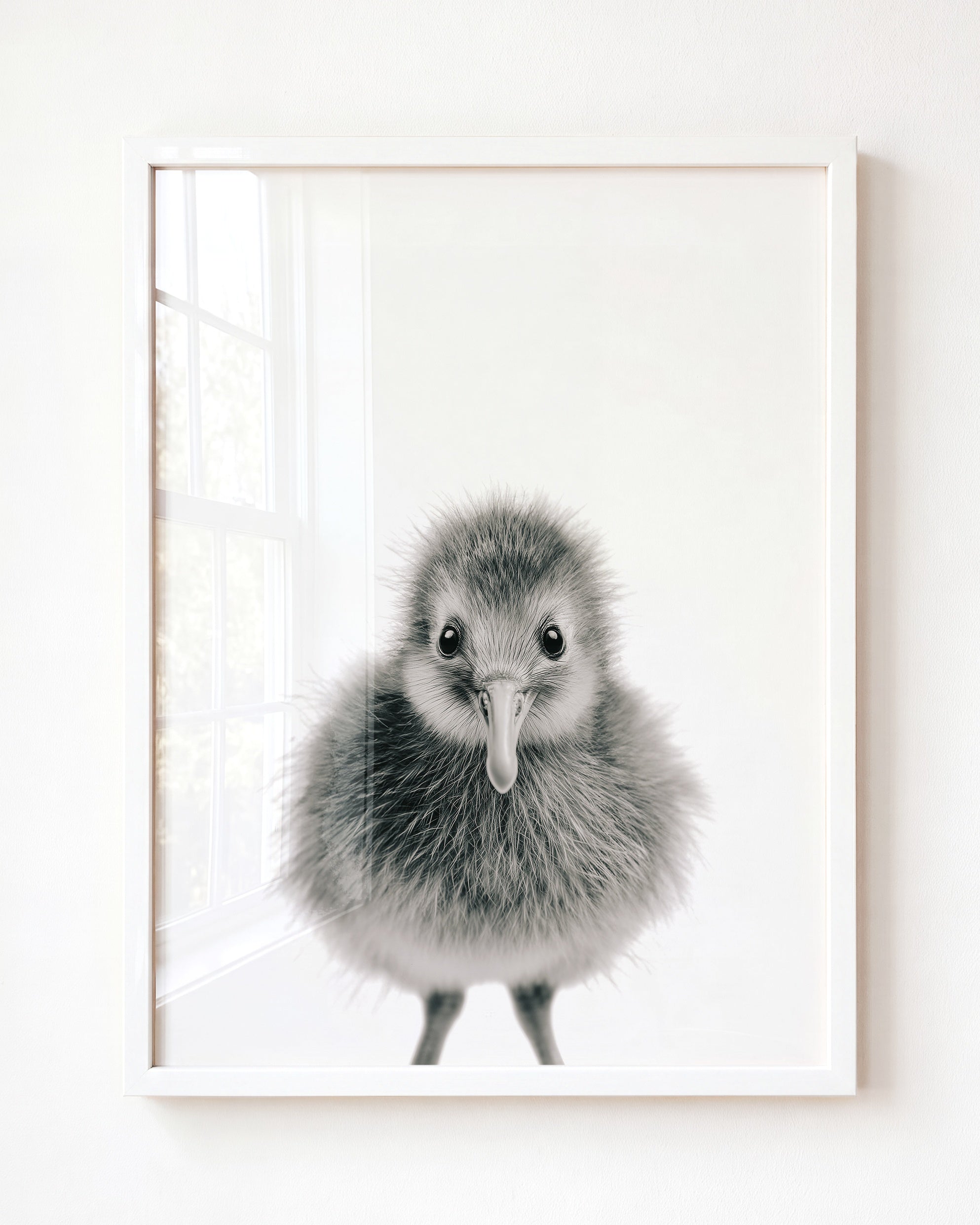 Baby Kiwi Bird