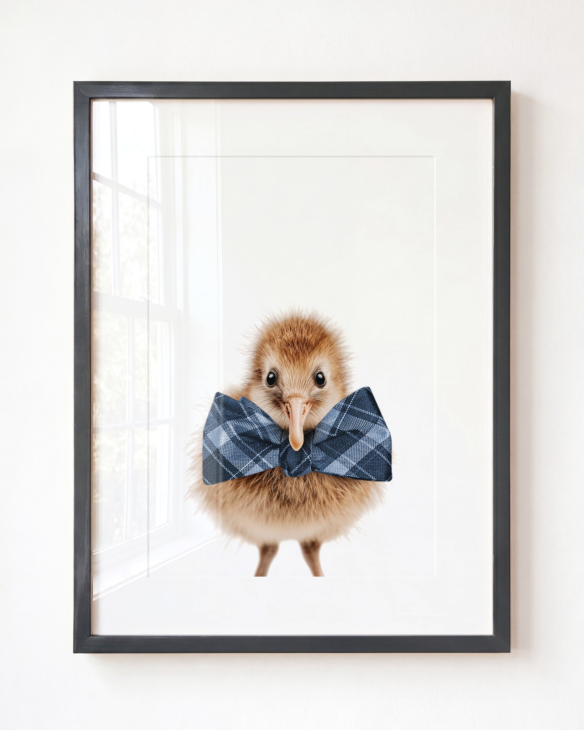 Baby Kiwi Bird