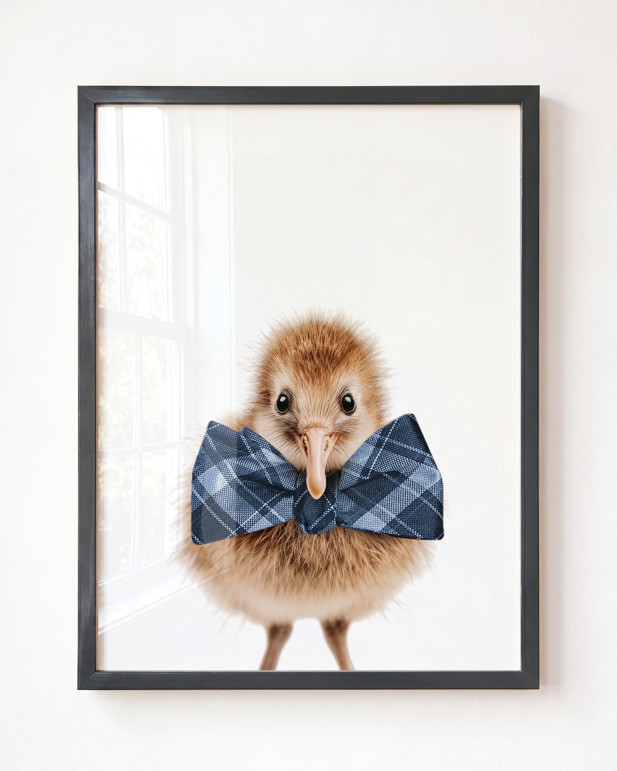 Baby Kiwi Bird
