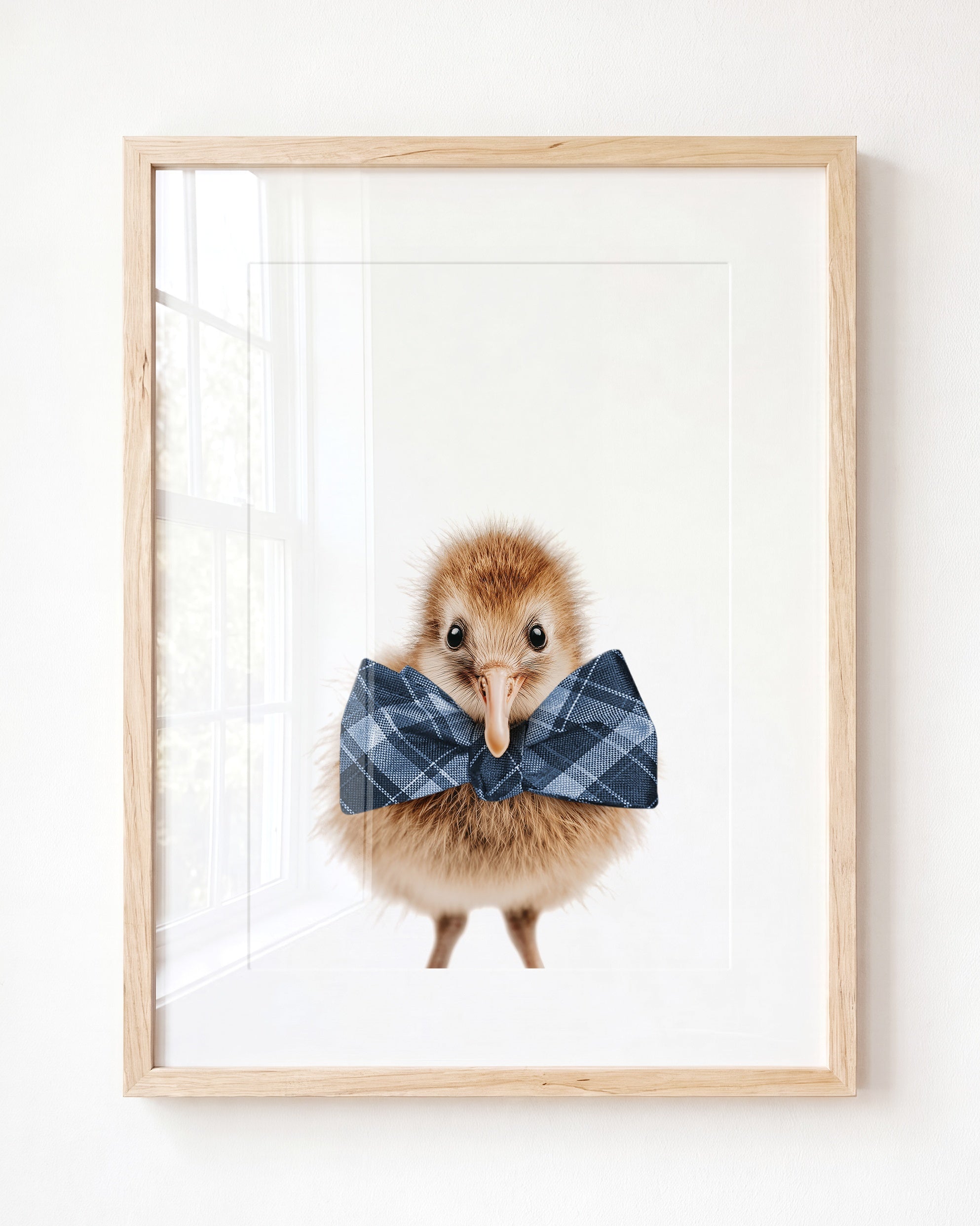 Baby Kiwi Bird