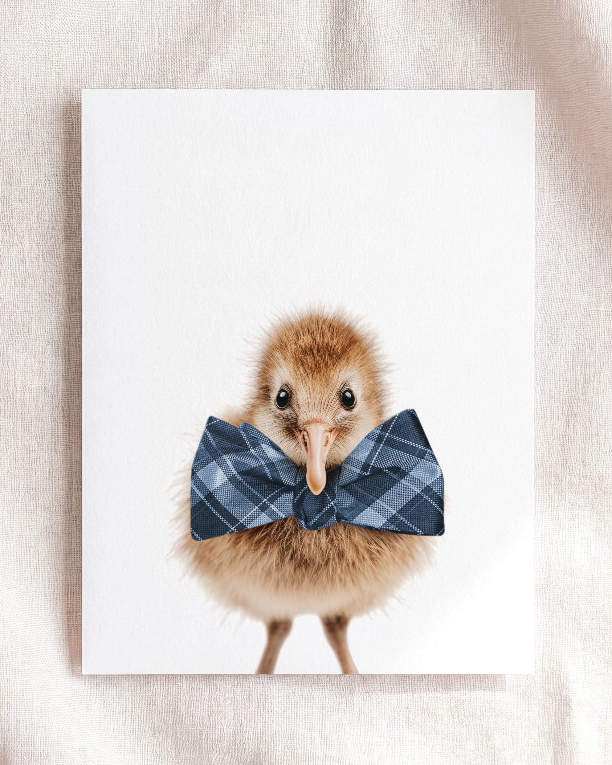 Baby Kiwi Bird