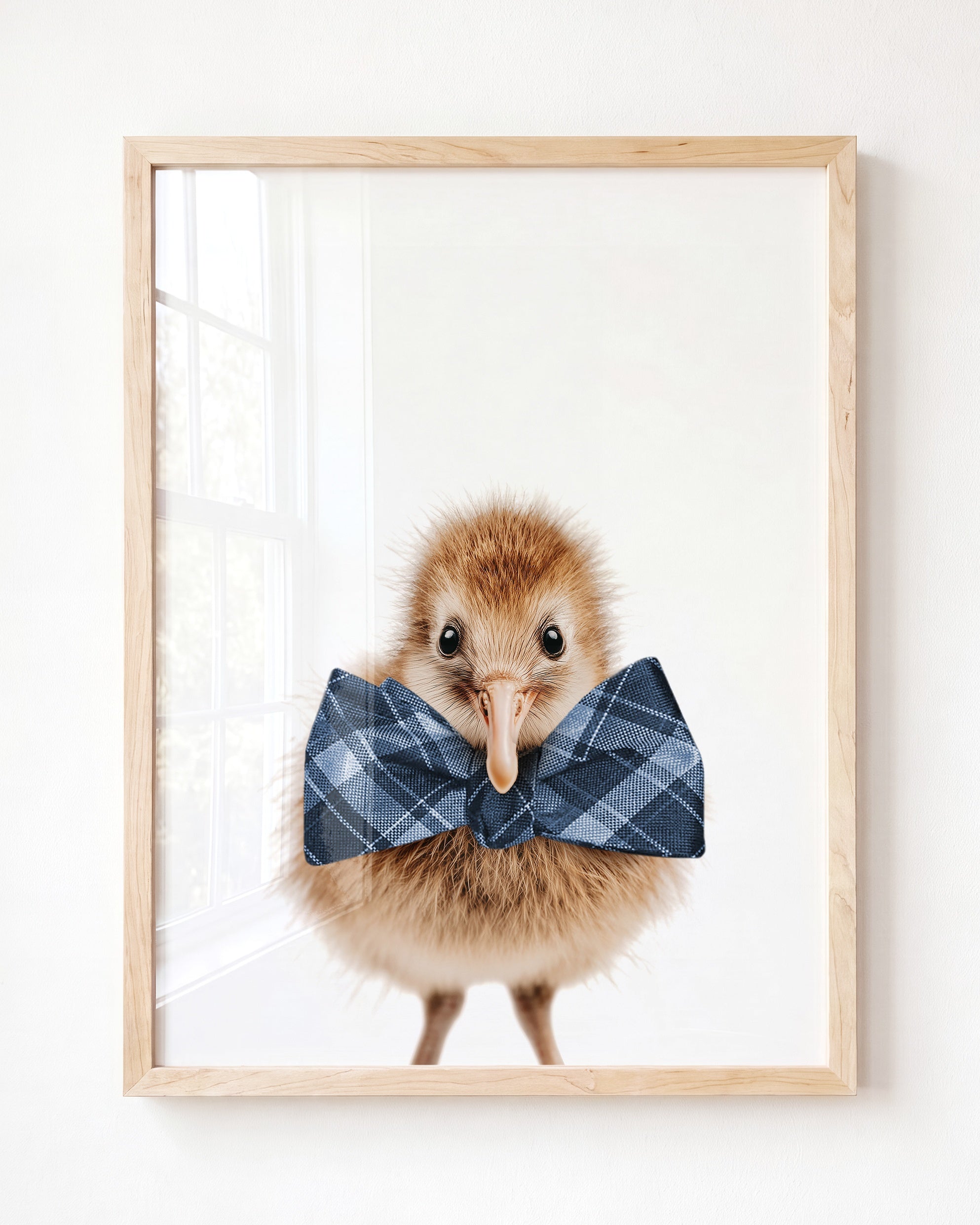 Baby Kiwi Bird