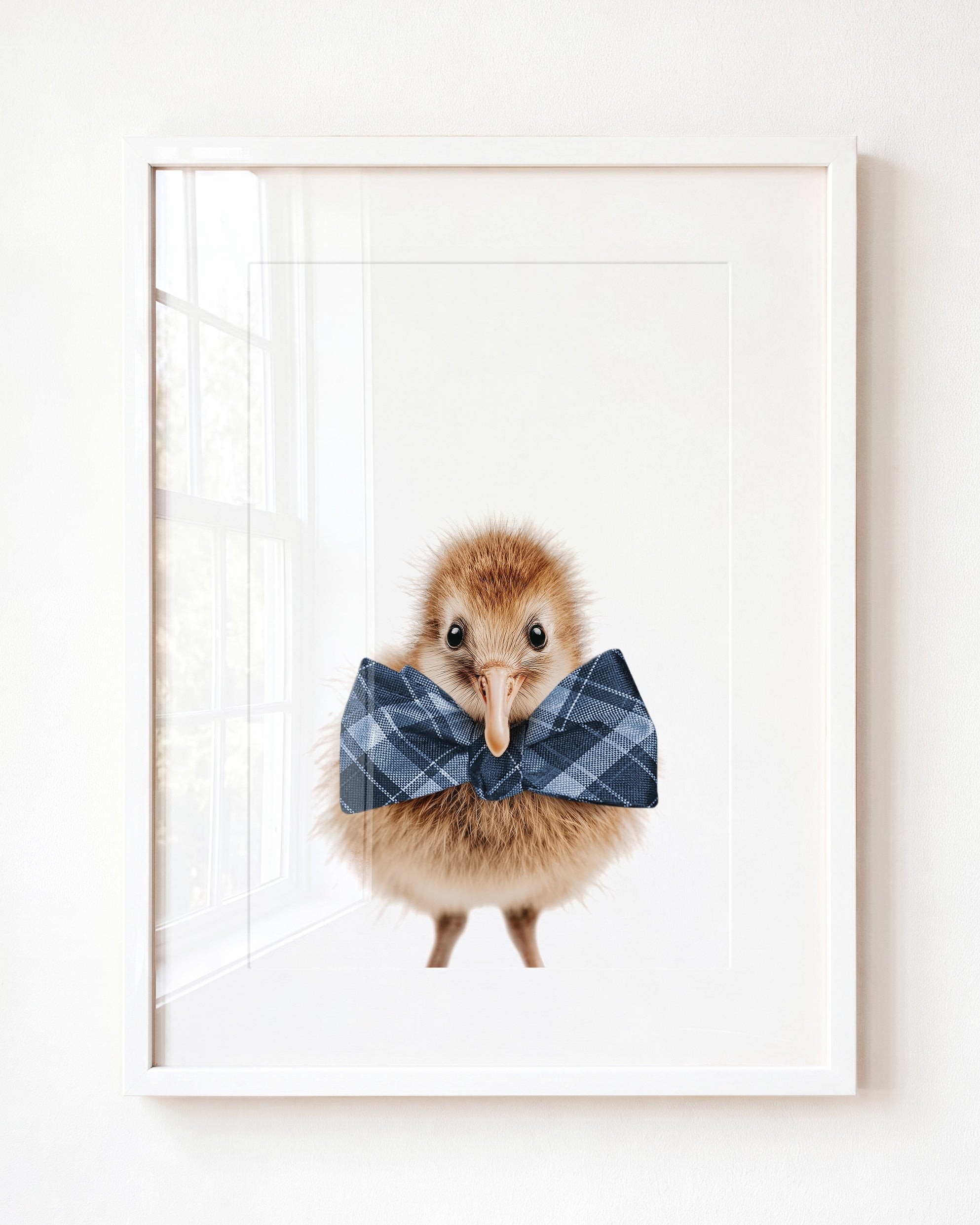 Baby Kiwi Bird