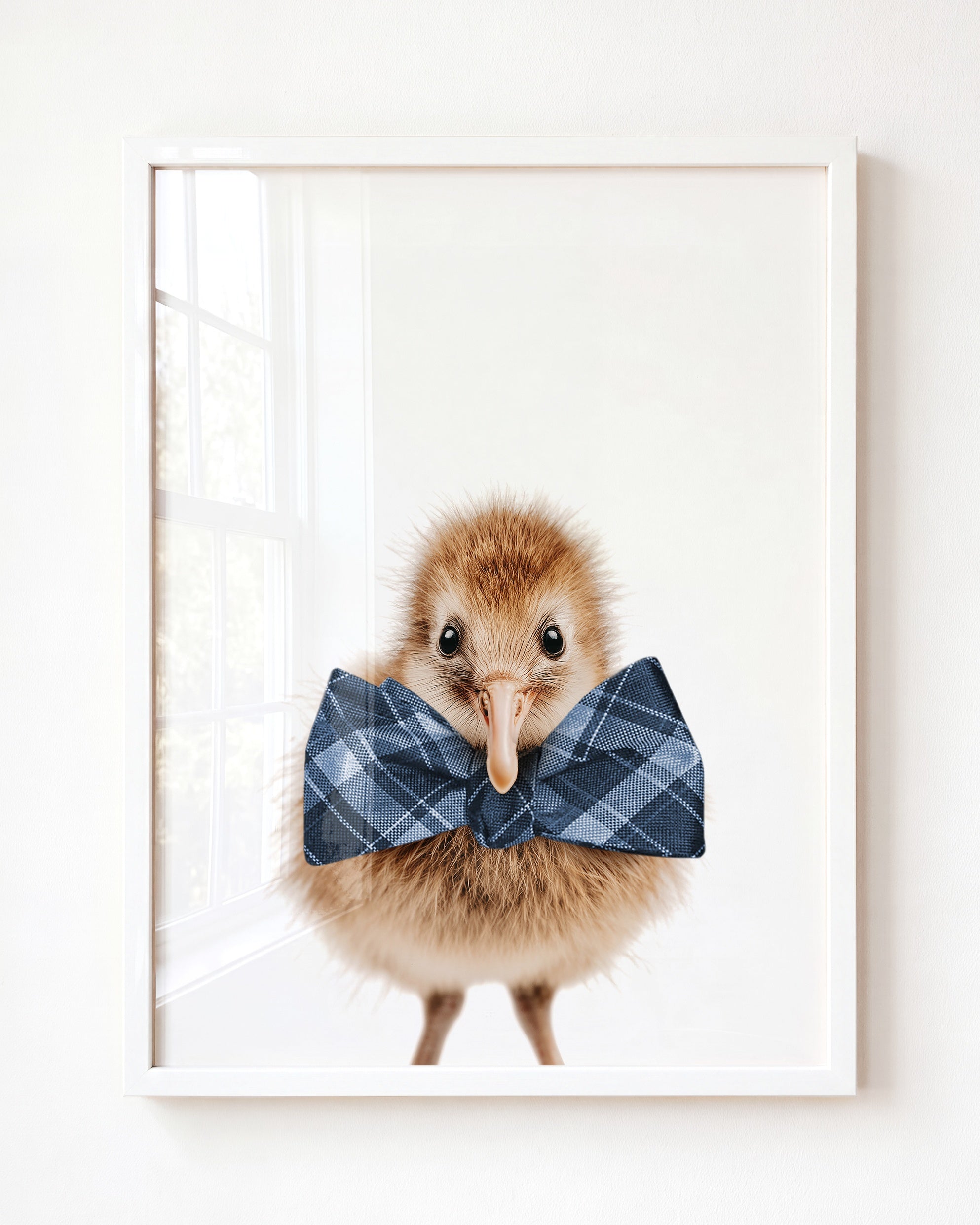 Baby Kiwi Bird