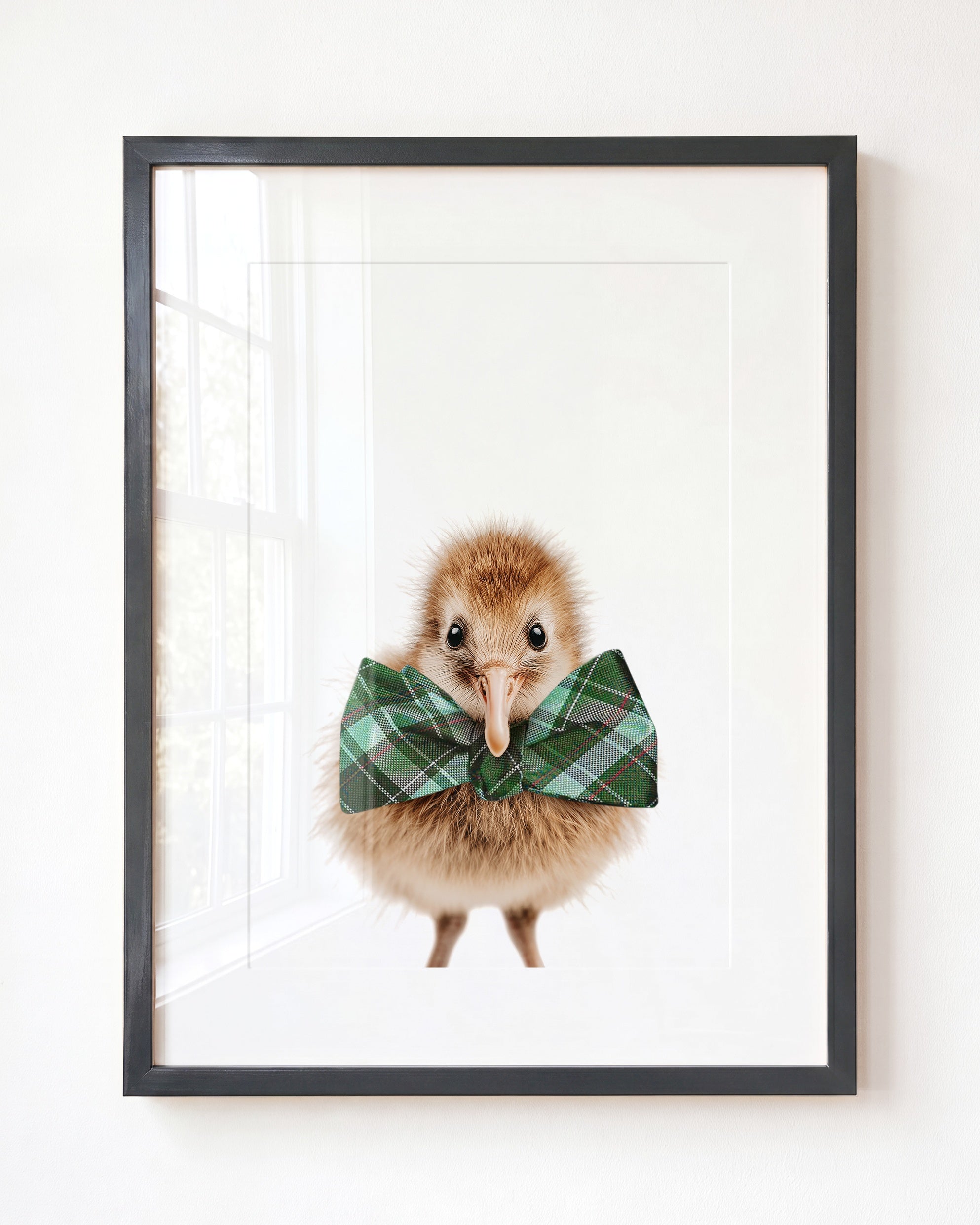 Baby Kiwi Bird