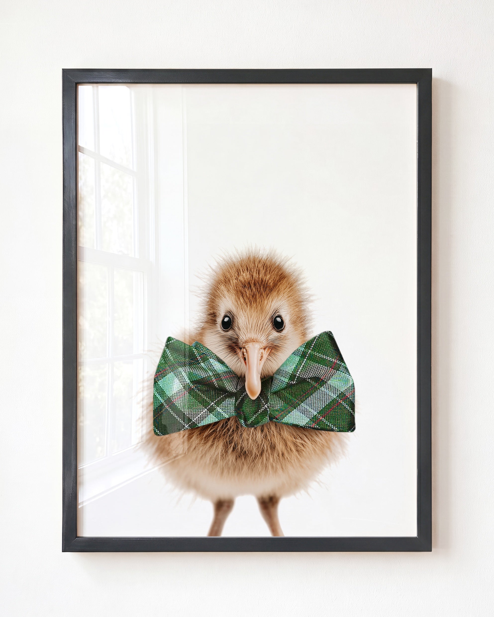 Baby Kiwi Bird
