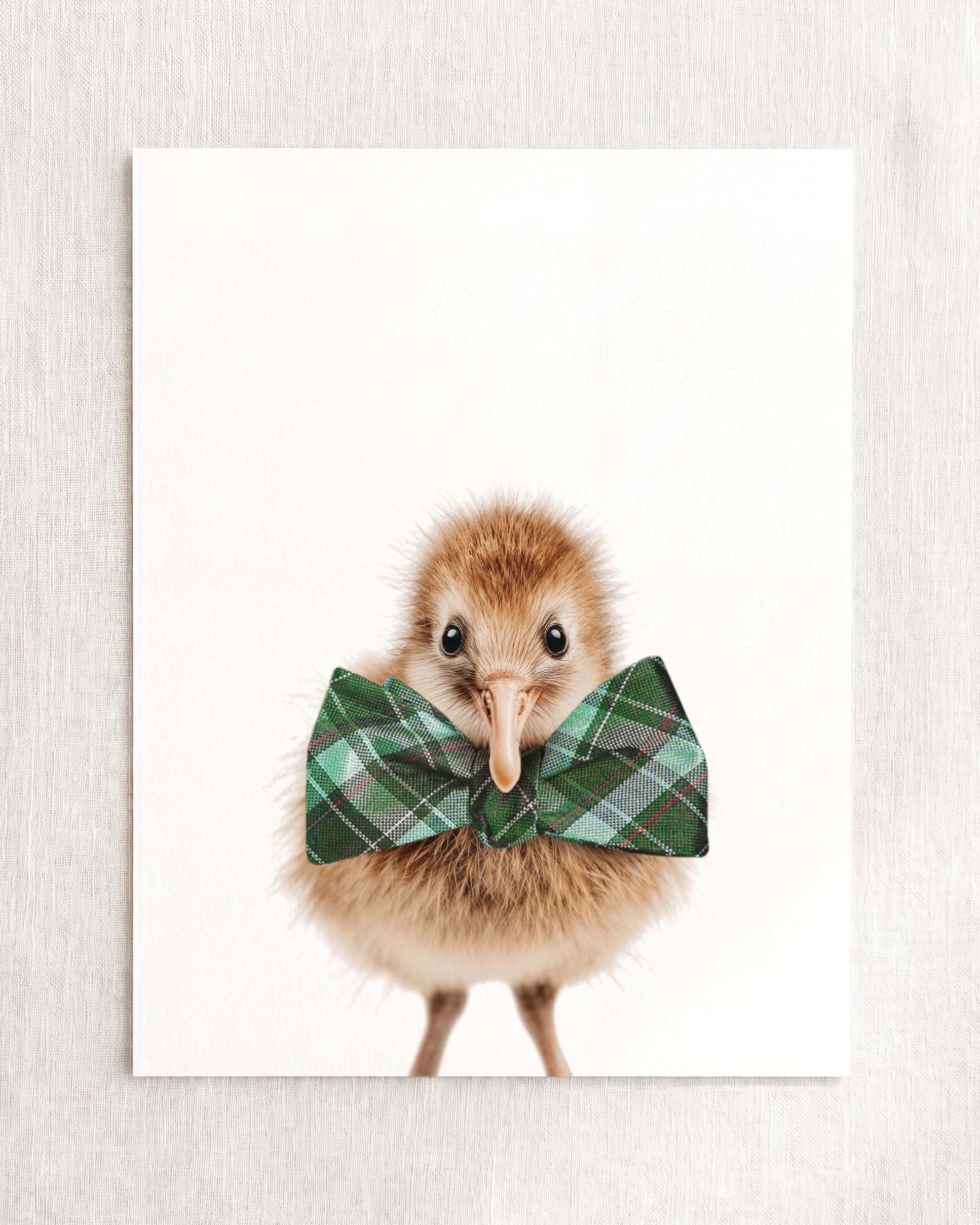 Baby Kiwi Bird