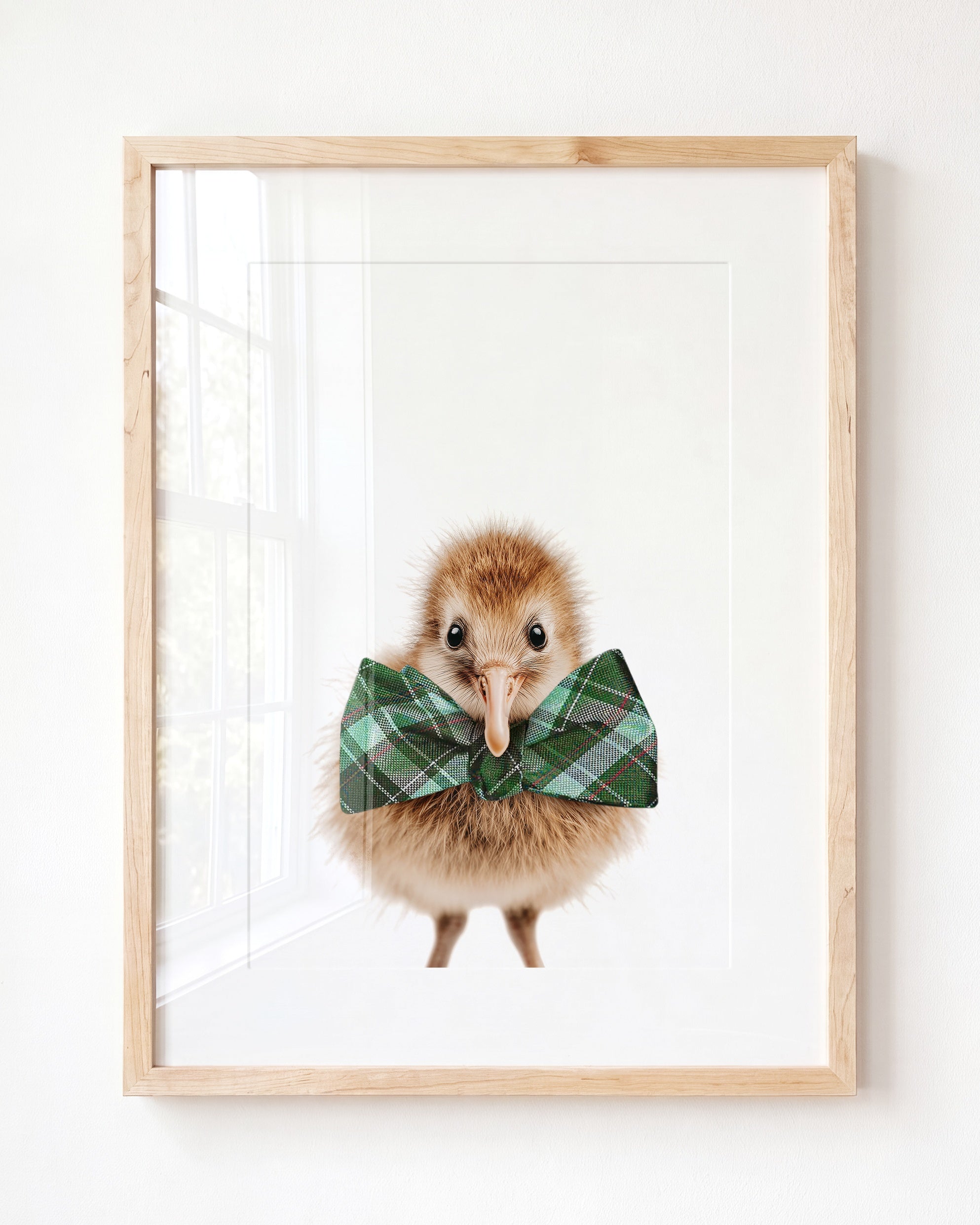 Baby Kiwi Bird