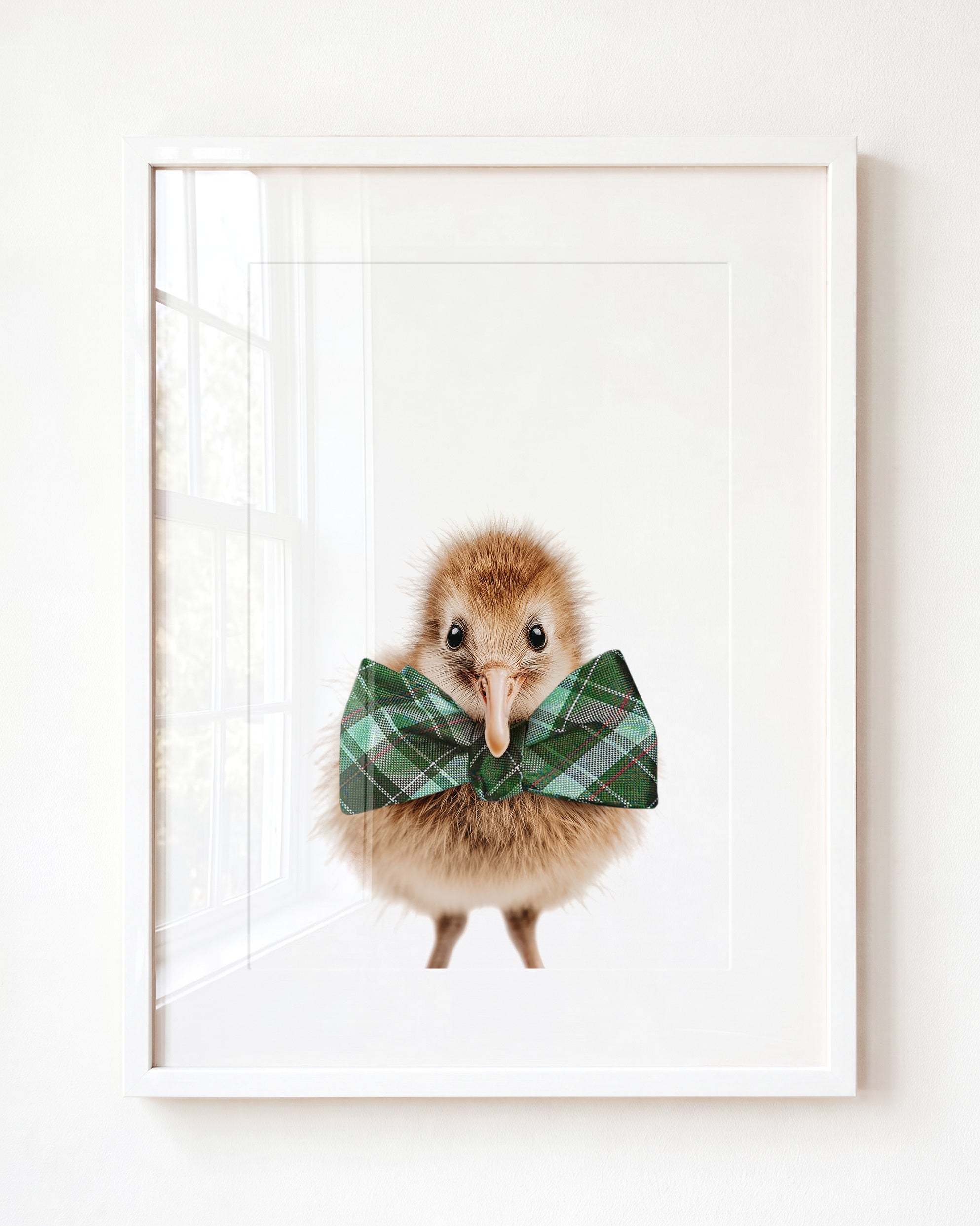 Baby Kiwi Bird