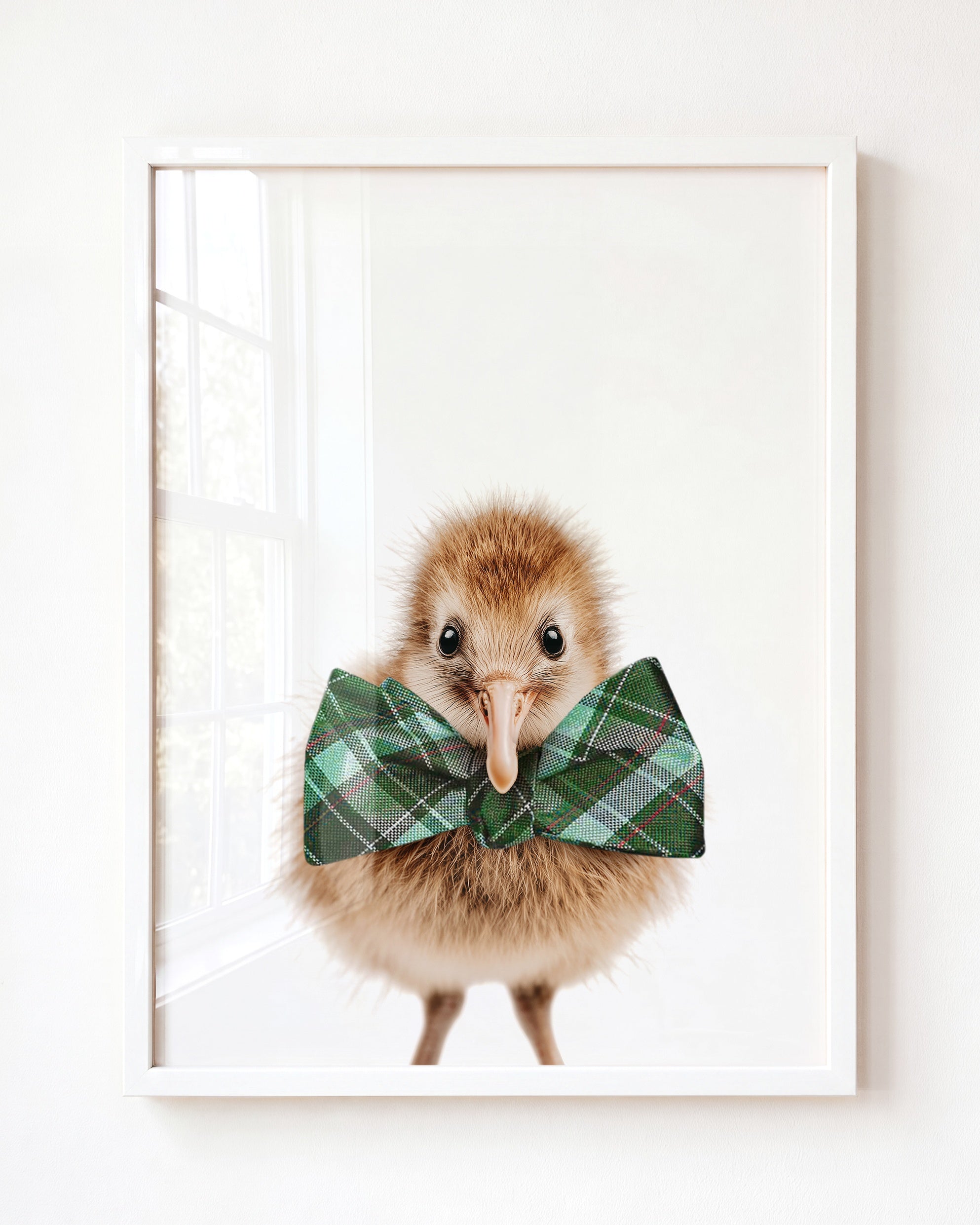 Baby Kiwi Bird
