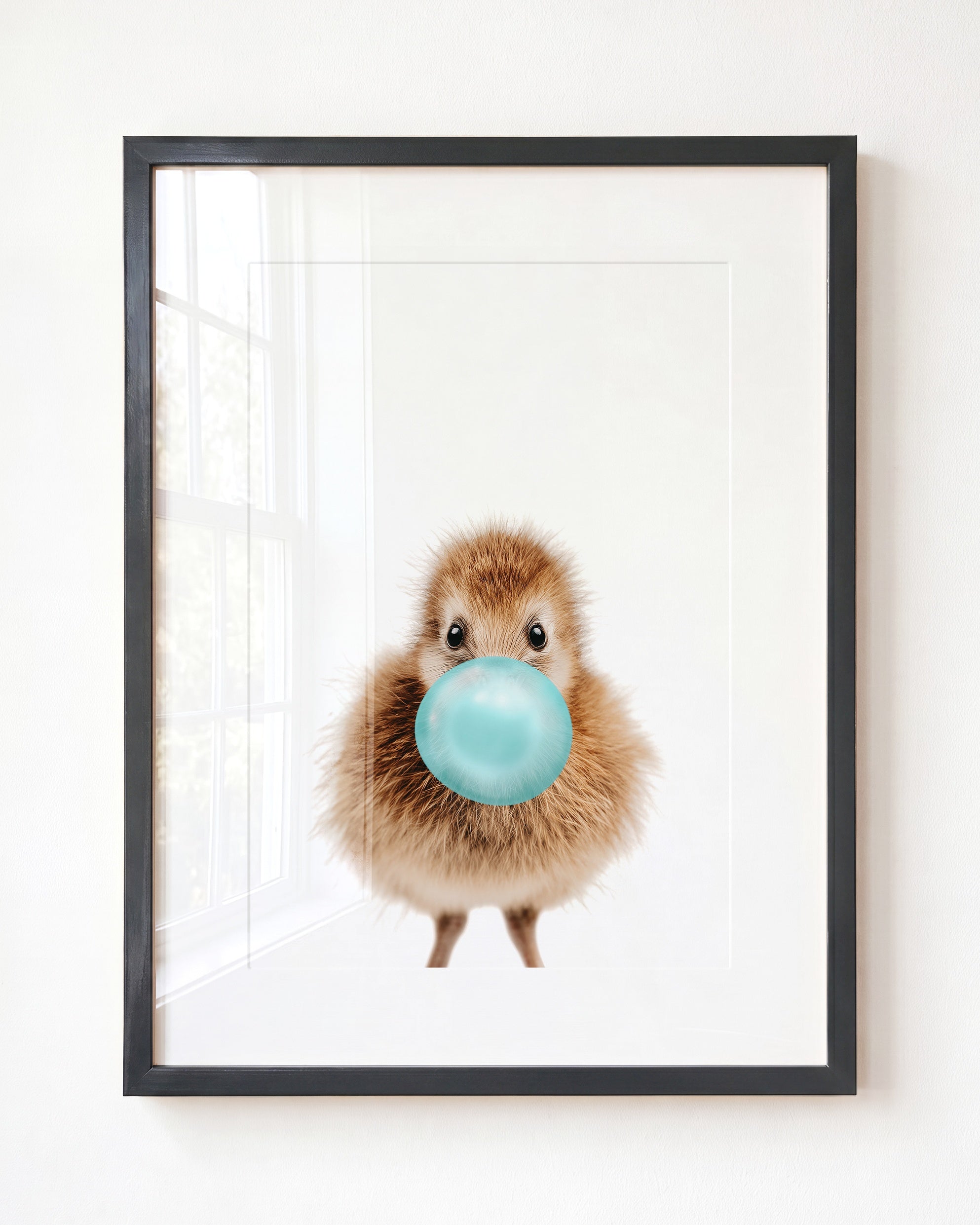 Baby Kiwi Bird