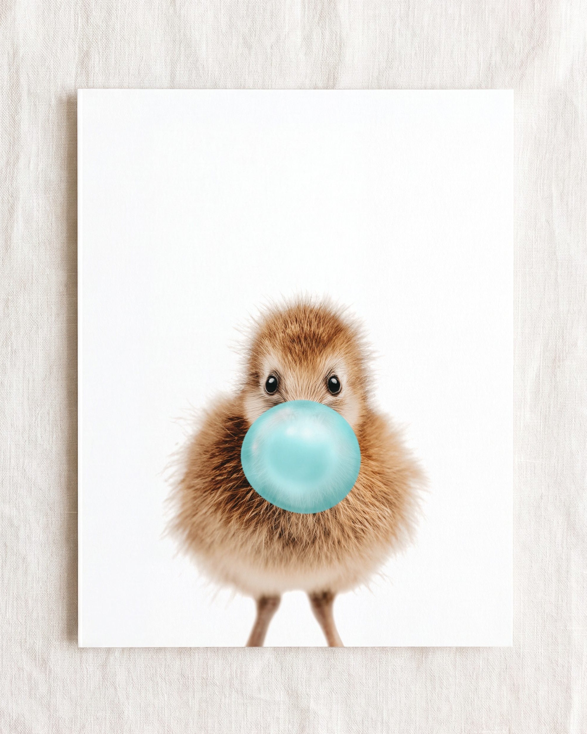 Baby Kiwi Bird