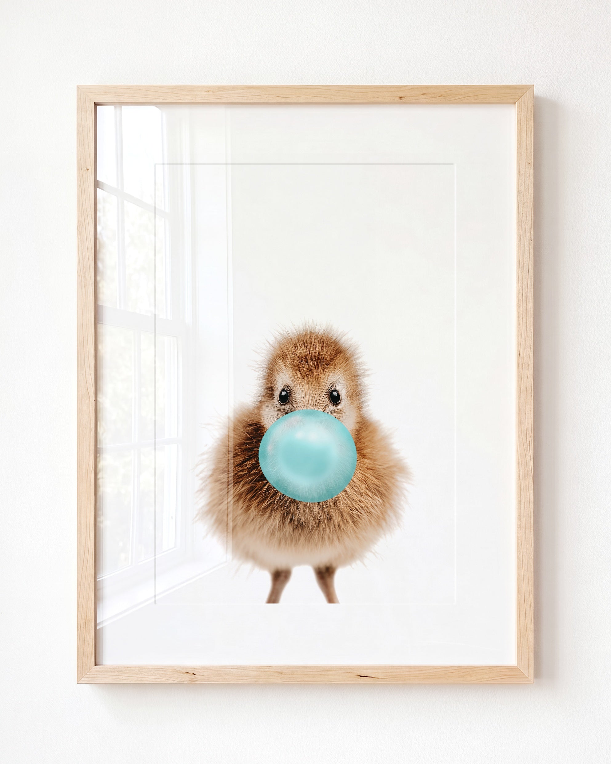 Baby Kiwi Bird
