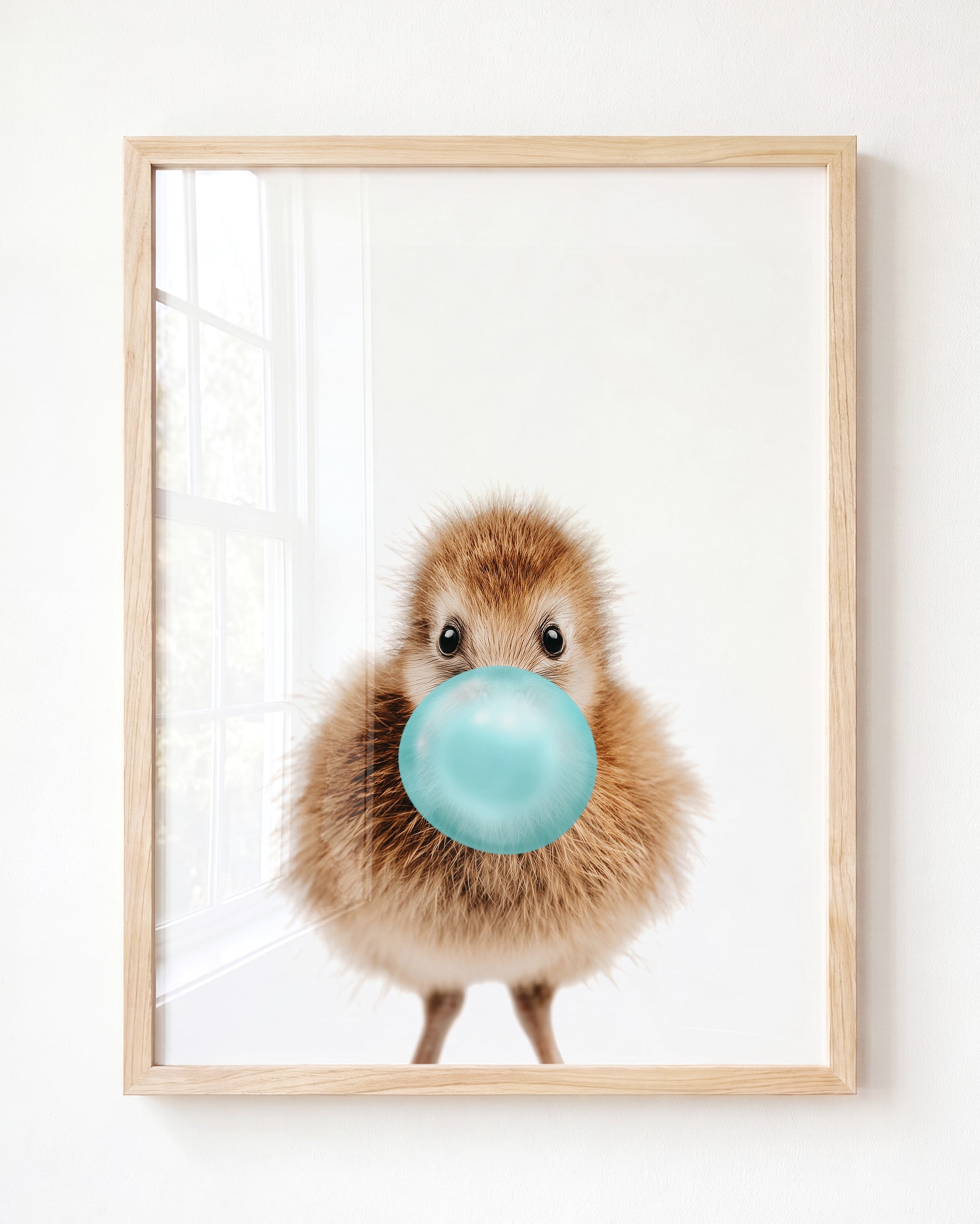 Baby Kiwi Bird