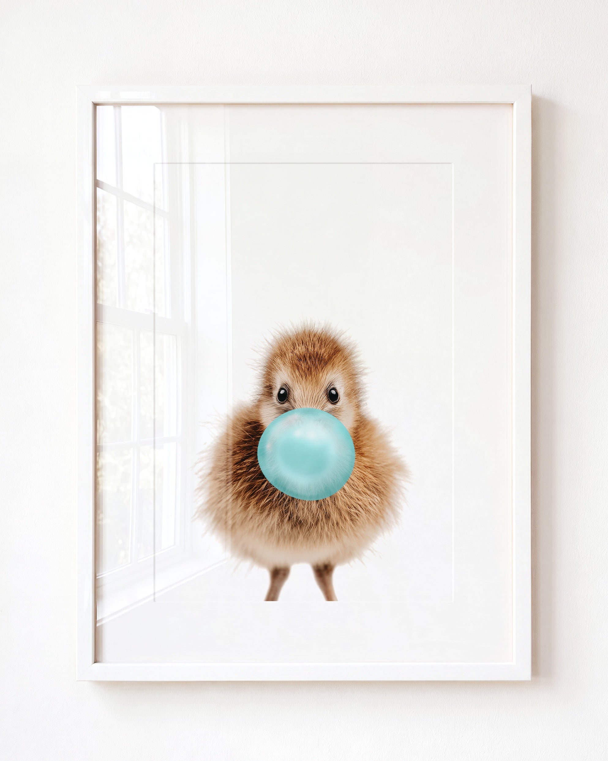 Baby Kiwi Bird