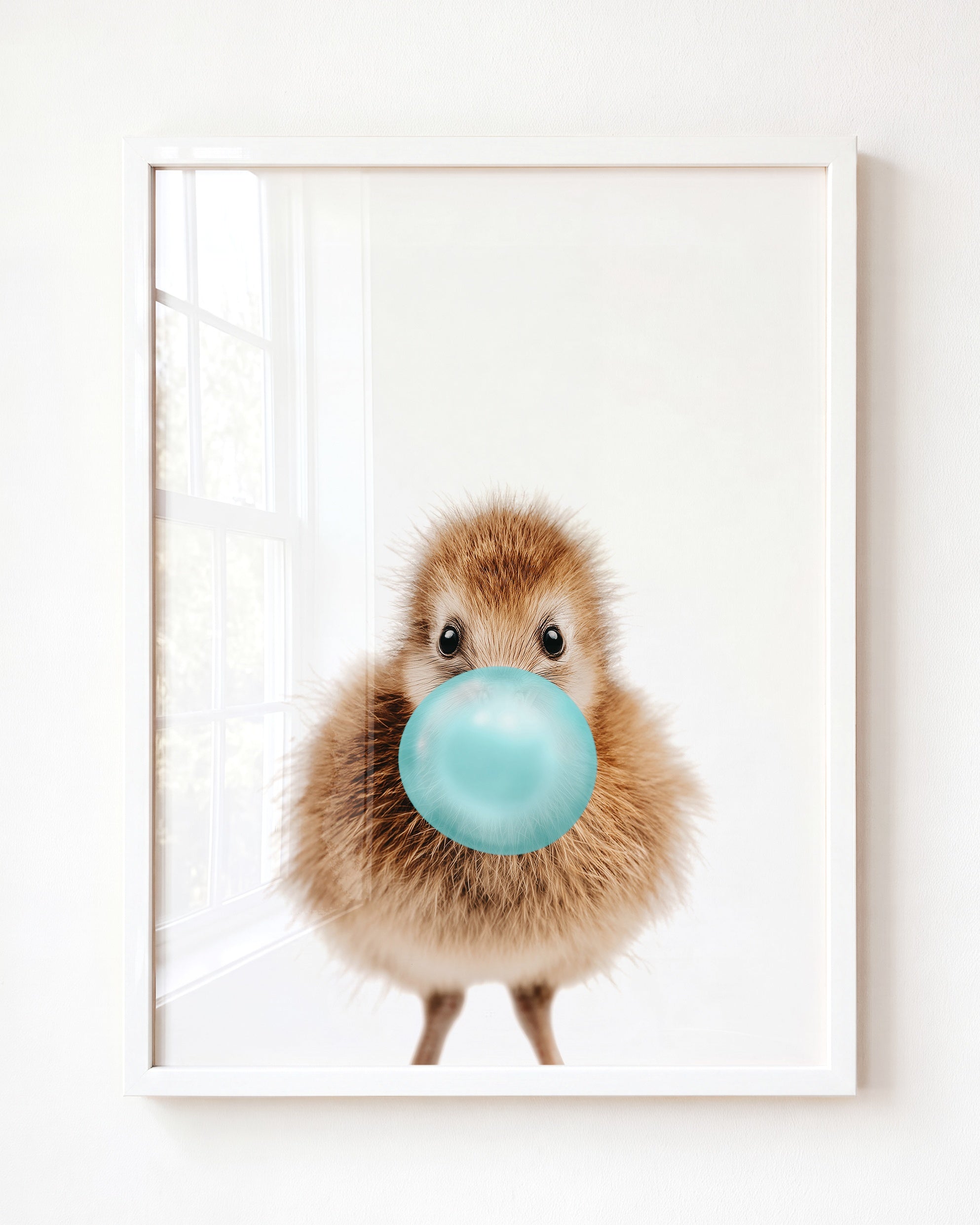Baby Kiwi Bird