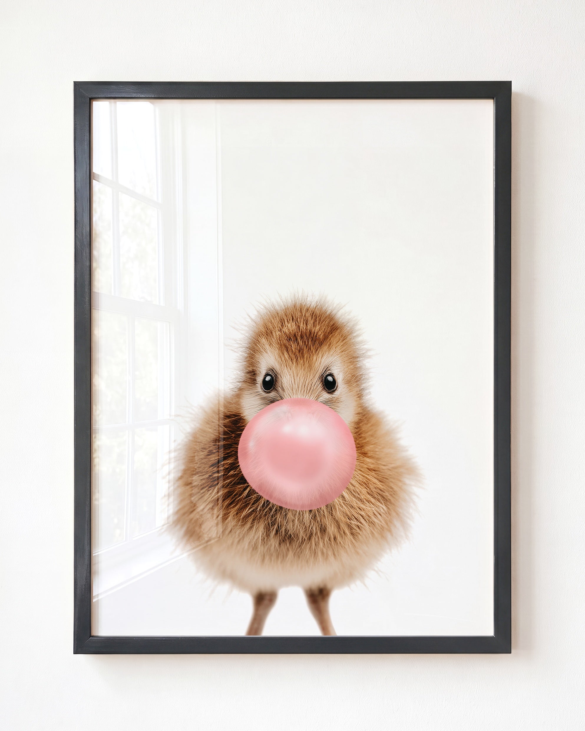 Baby Kiwi Bird