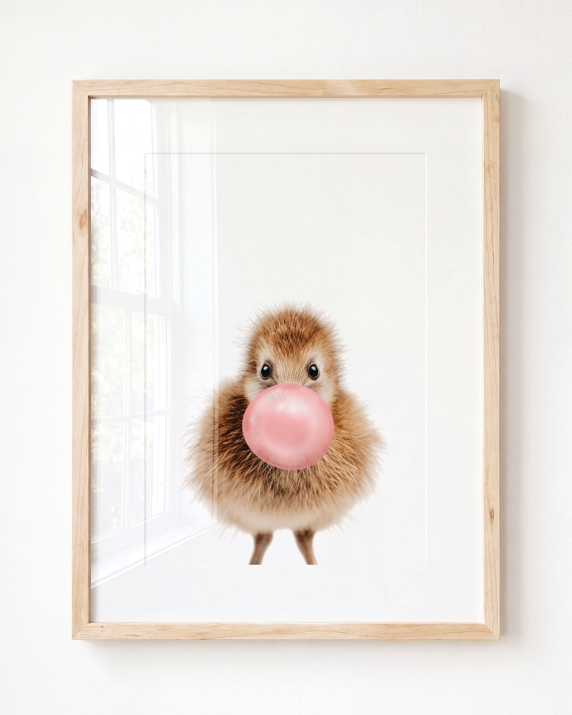 Baby Kiwi Bird