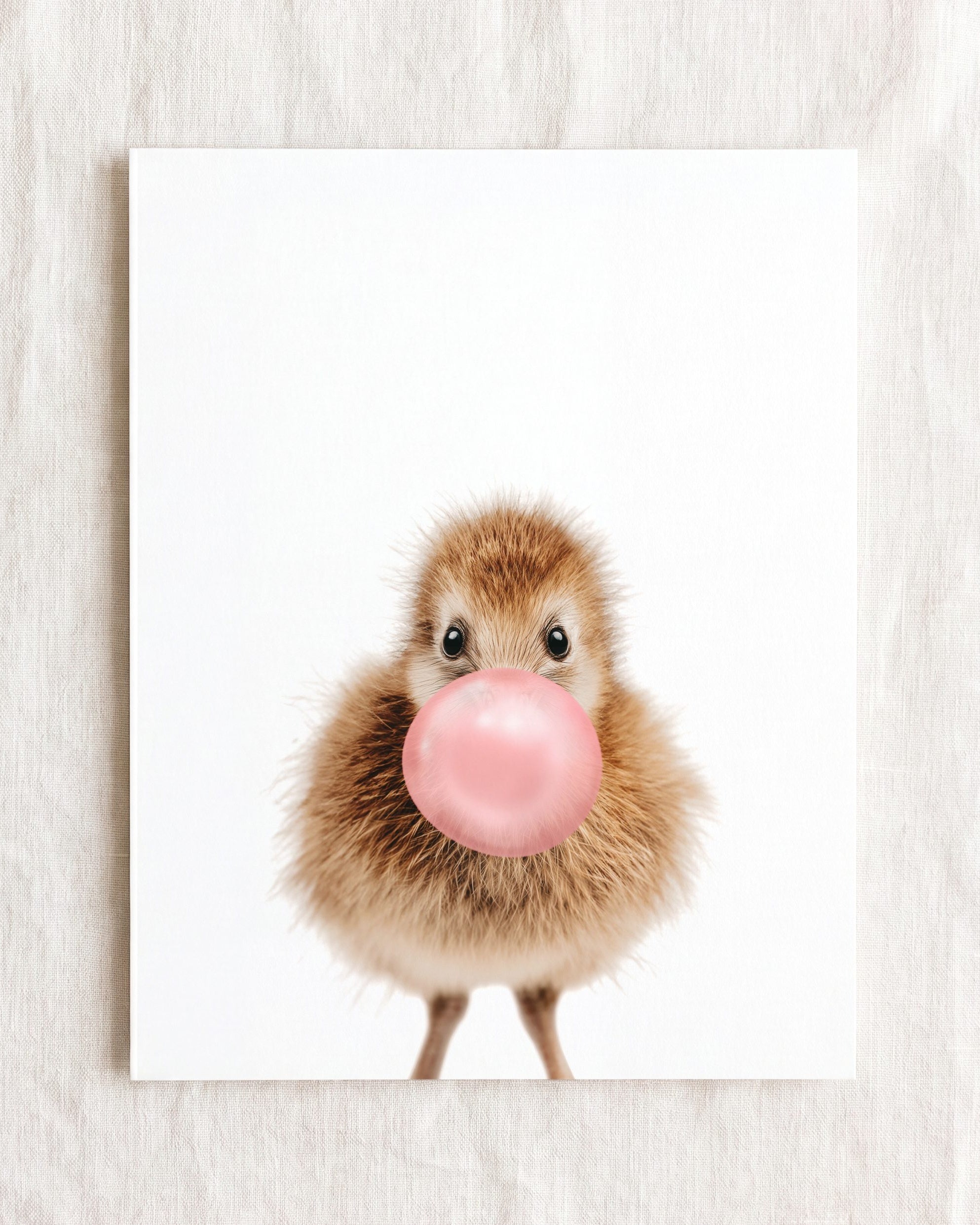 Baby Kiwi Bird