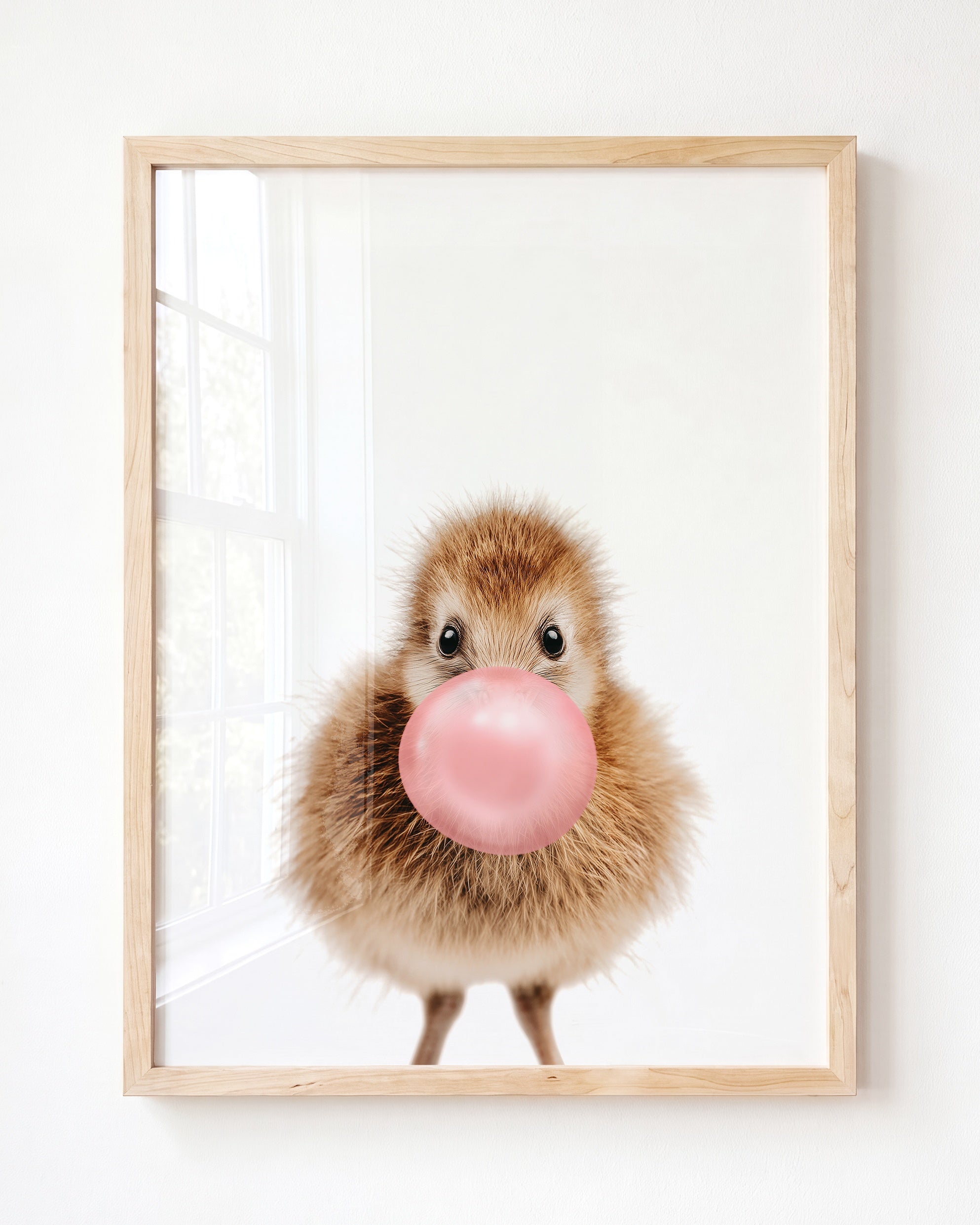 Baby Kiwi Bird
