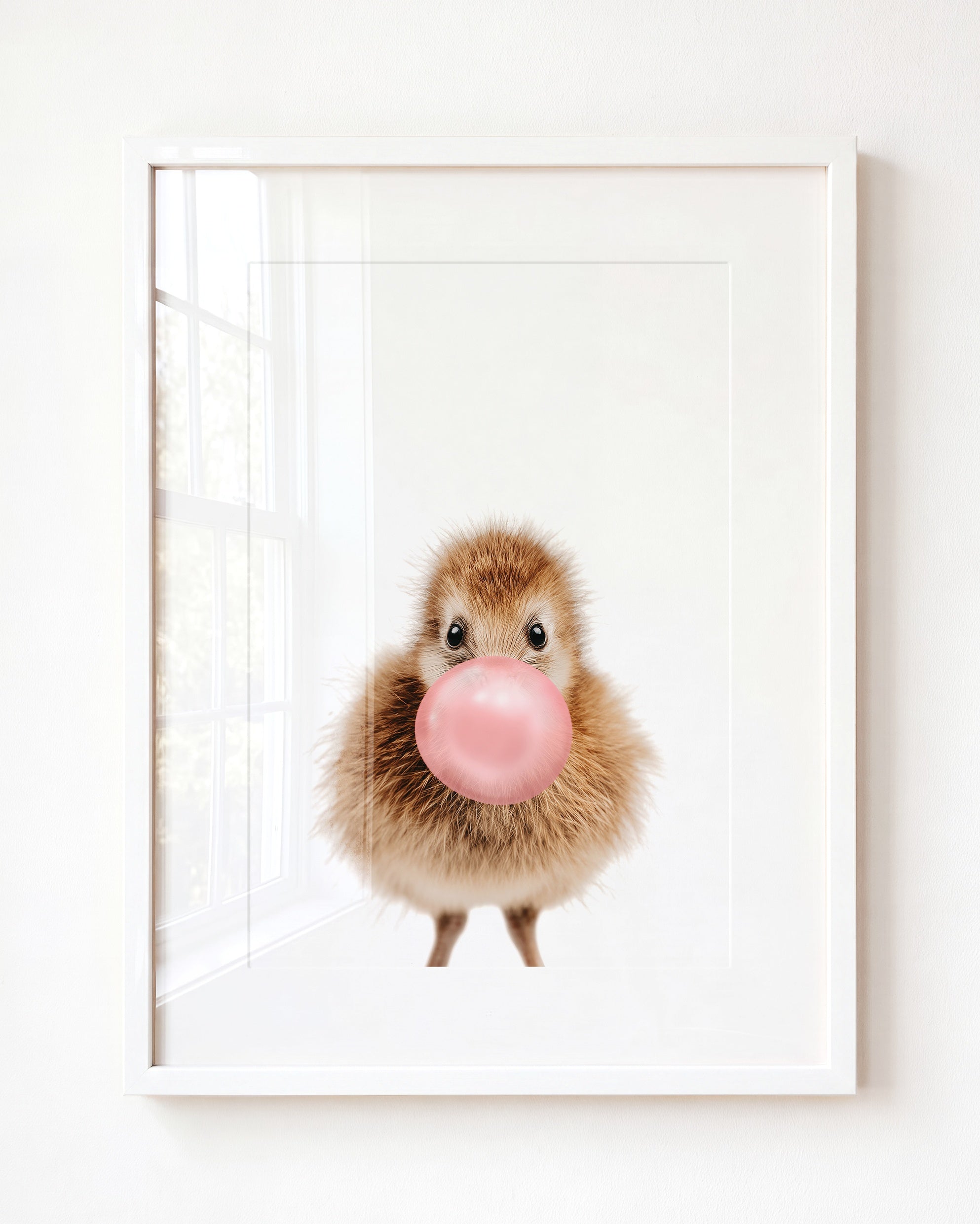 Baby Kiwi Bird