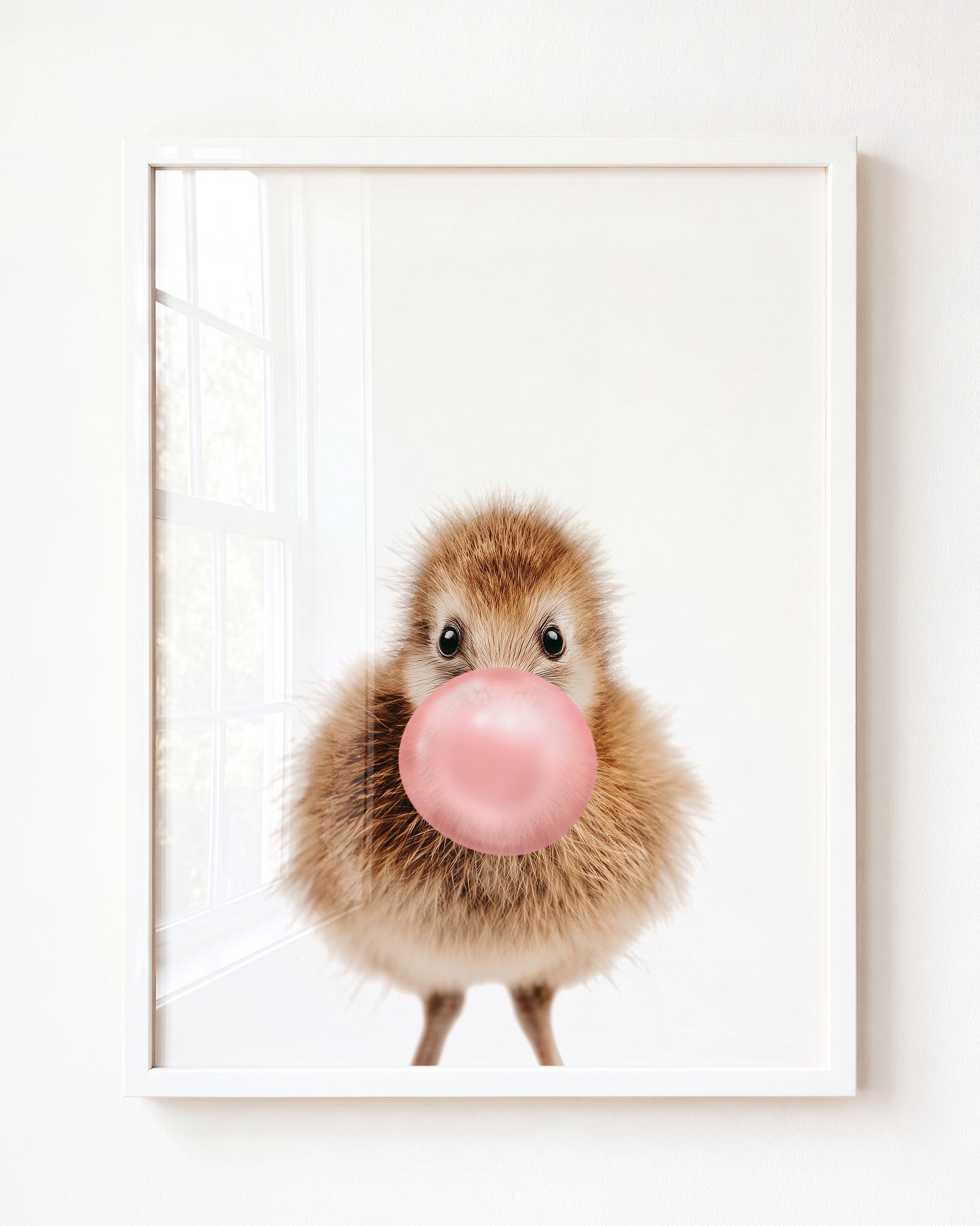 Baby Kiwi Bird