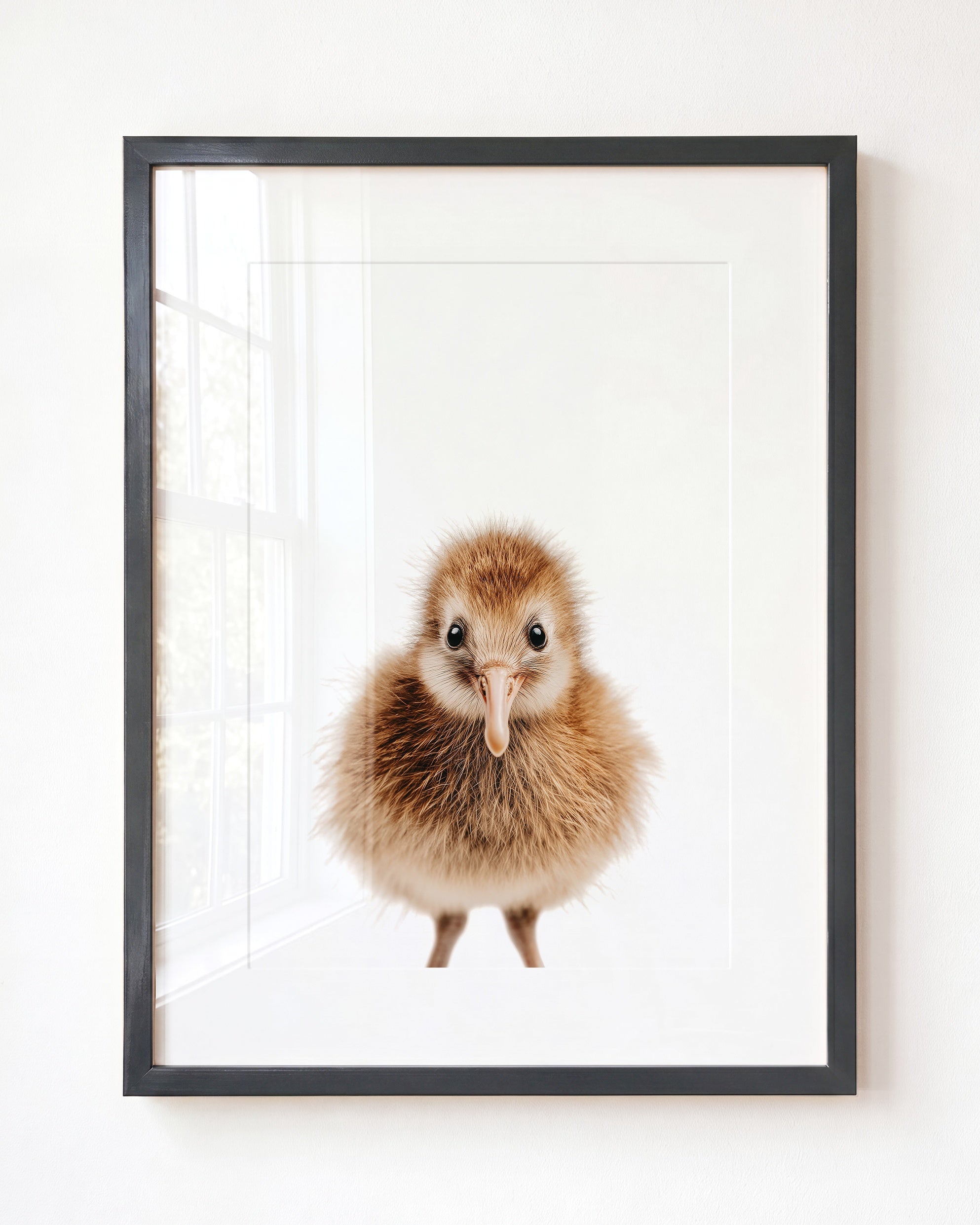Baby Kiwi Bird