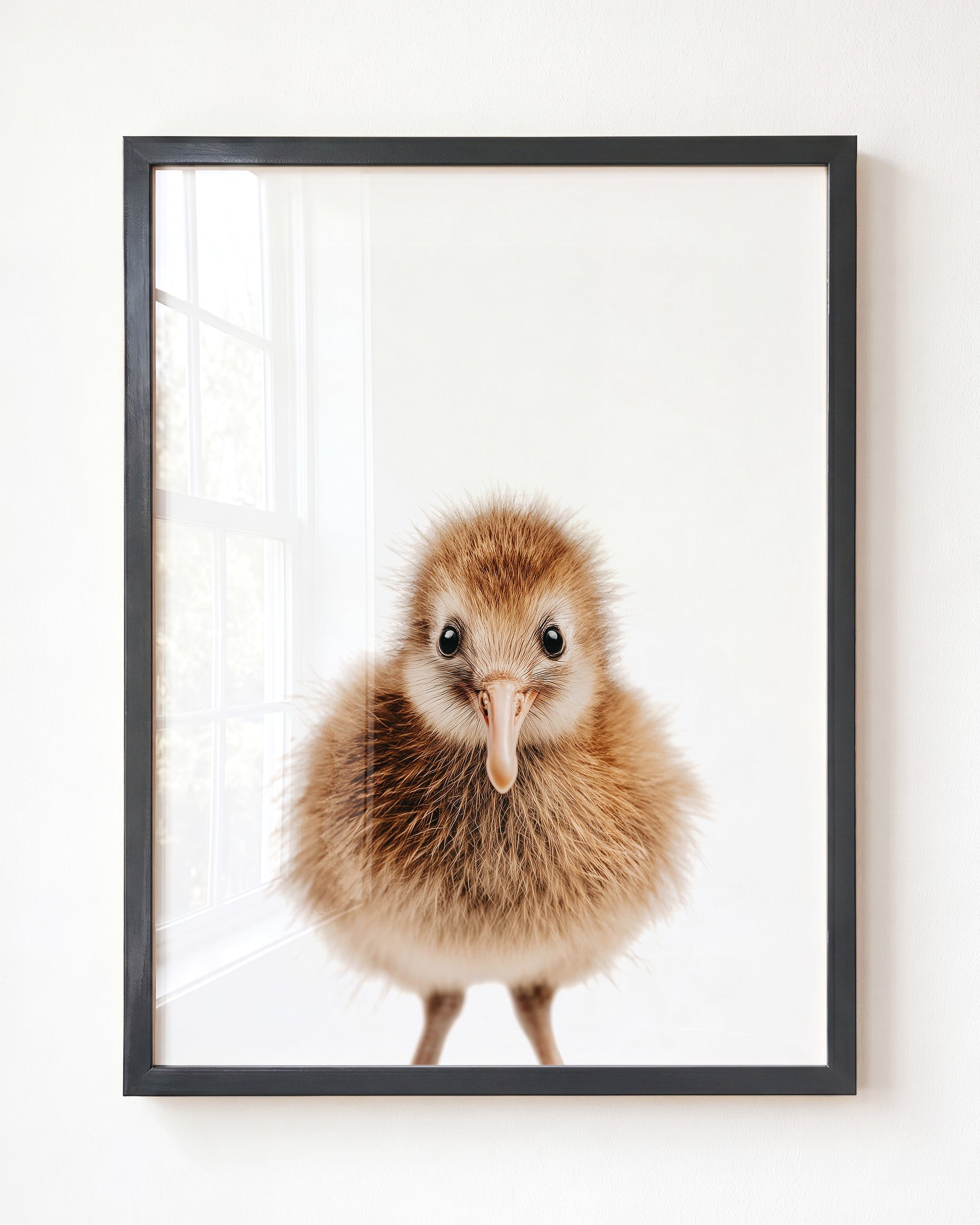 Baby Kiwi Bird