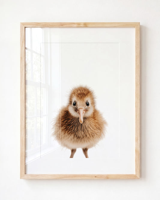 Baby Kiwi Bird — Framed