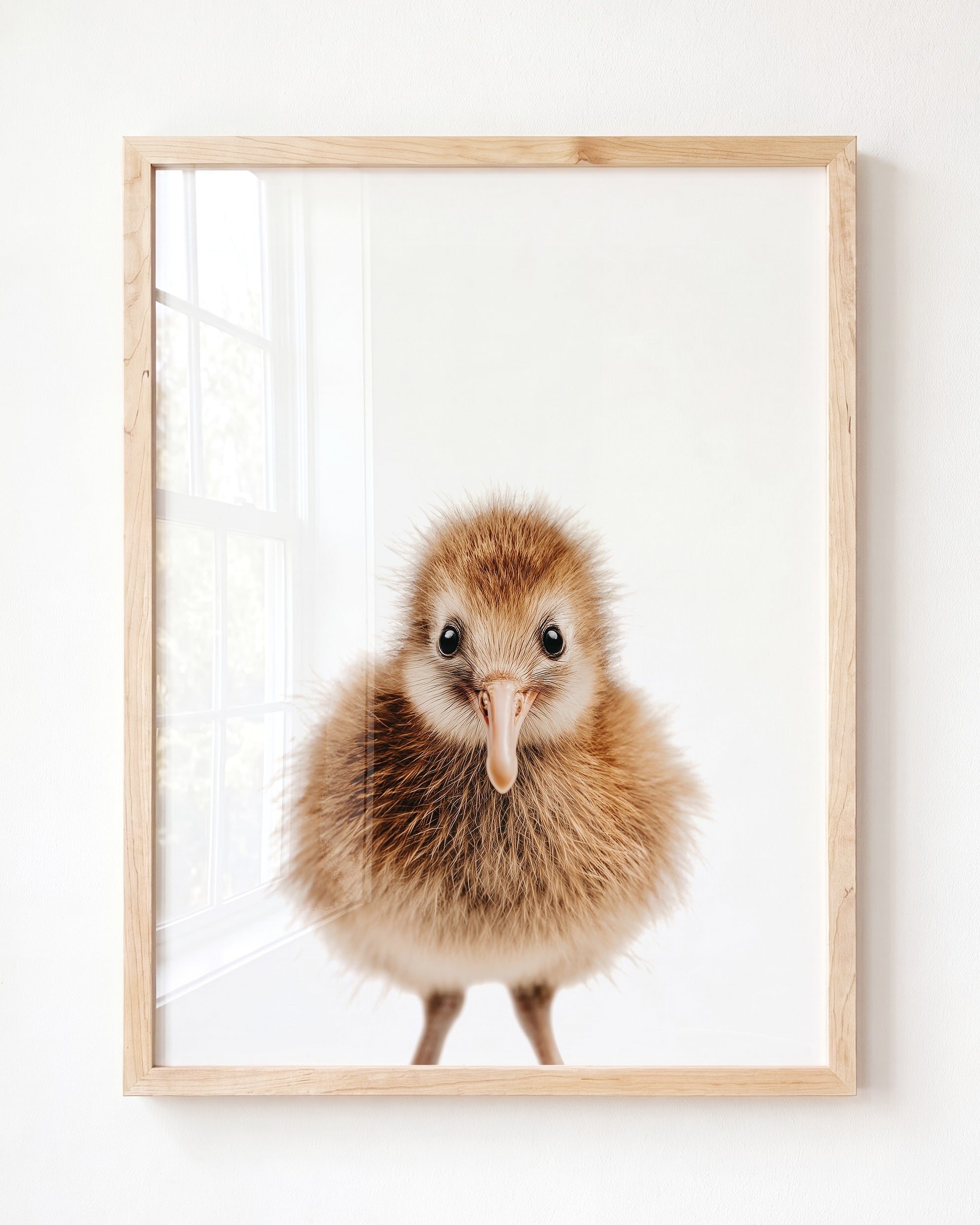 Baby Kiwi Bird