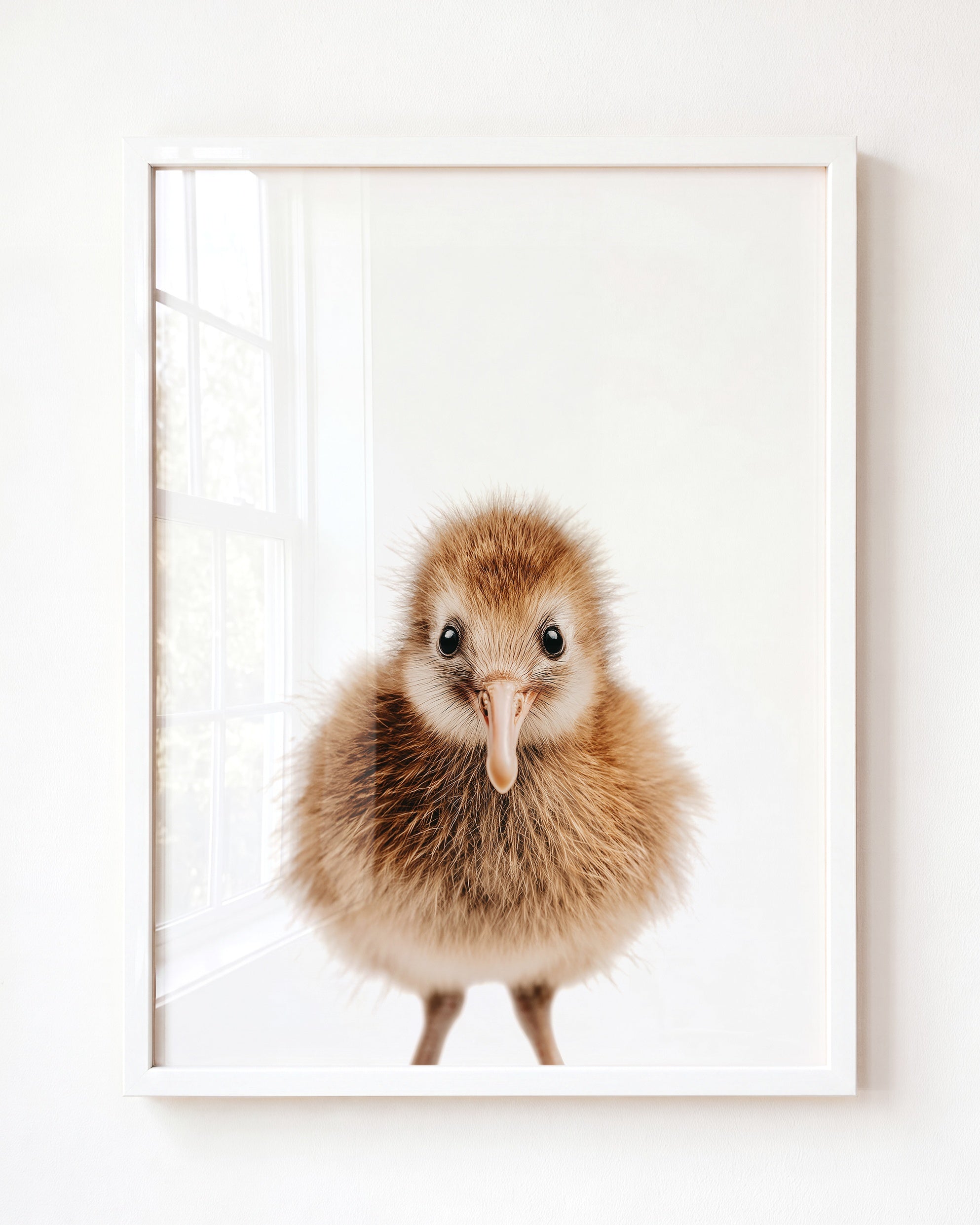 Baby Kiwi Bird