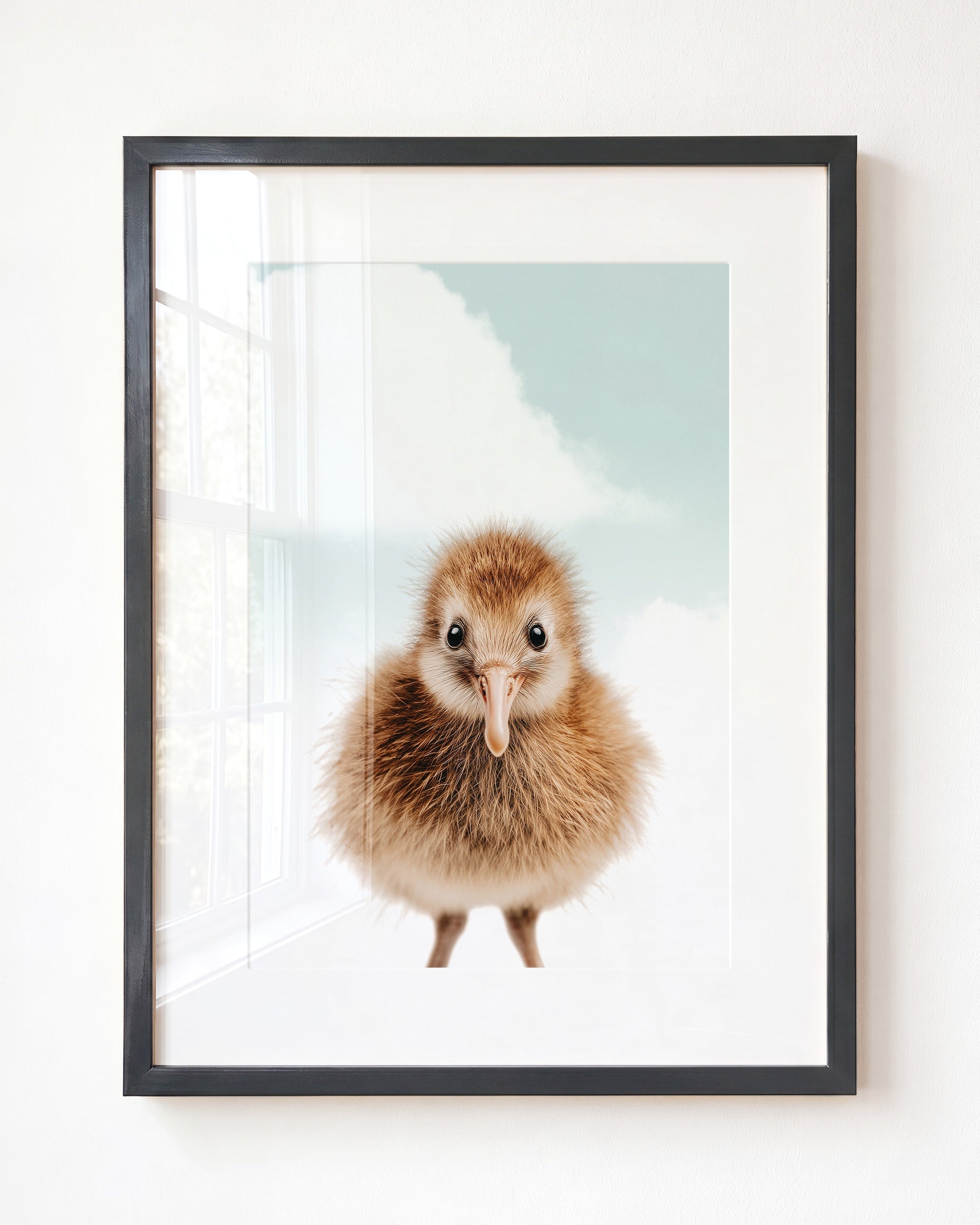 Baby Kiwi Bird