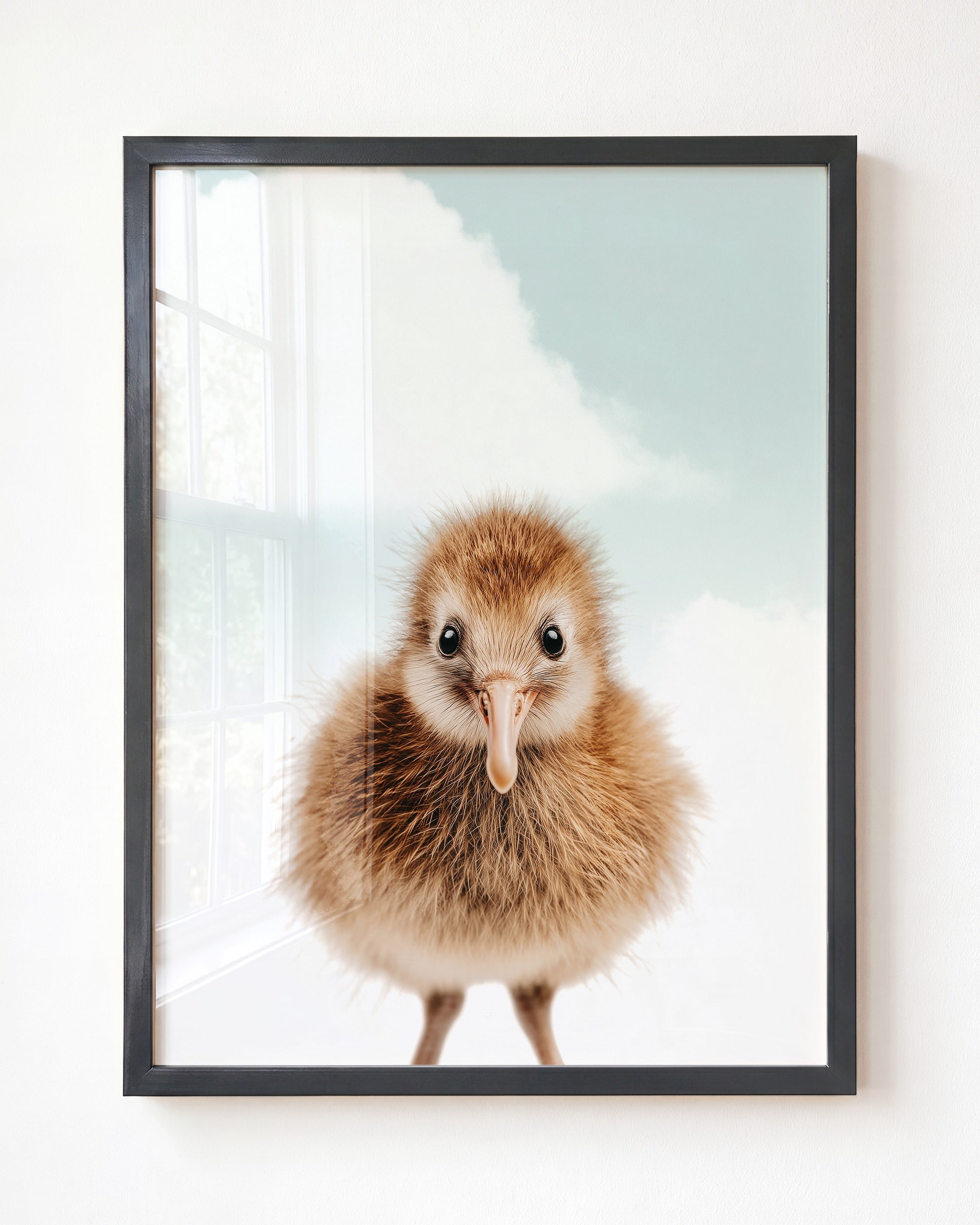 Baby Kiwi Bird