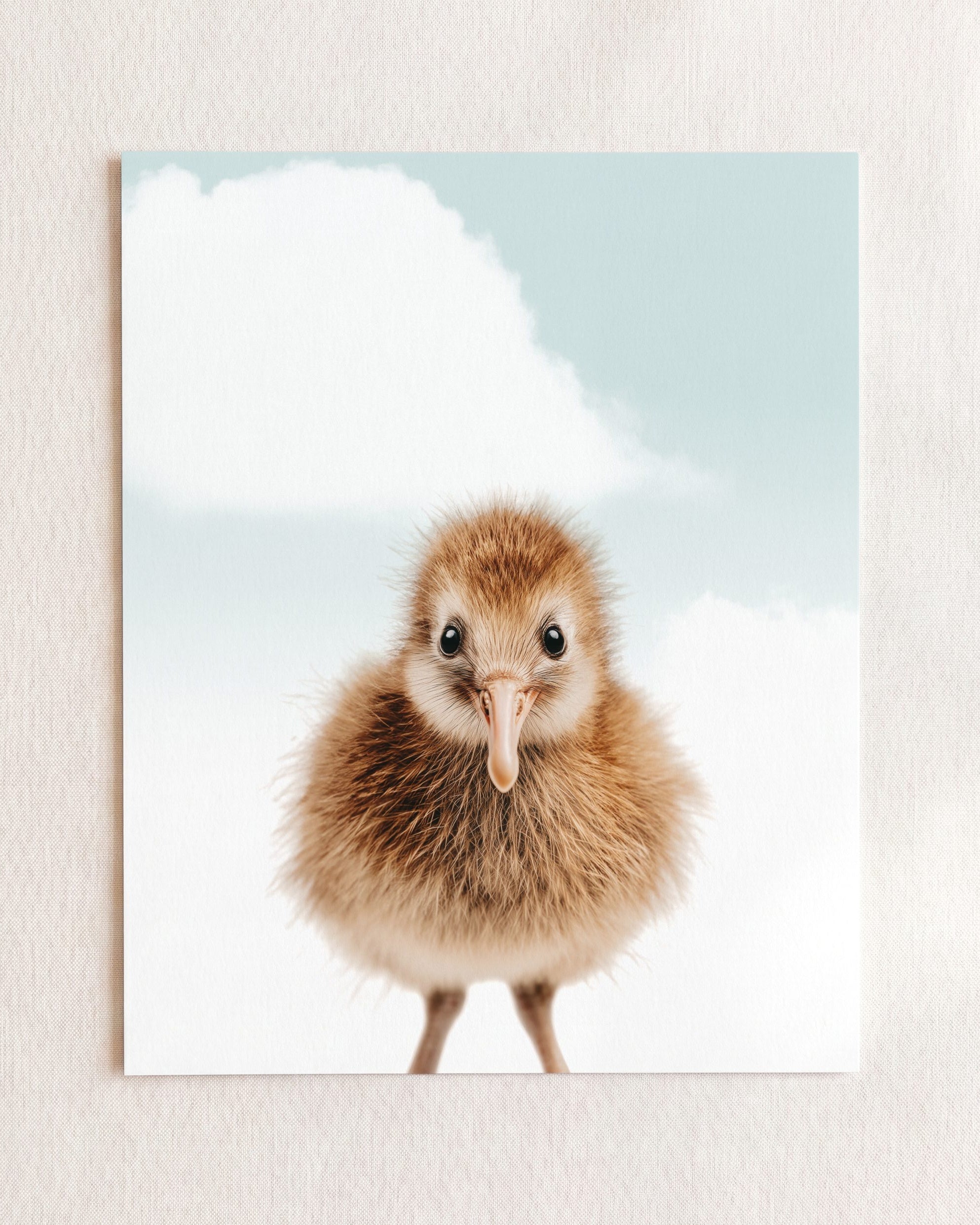 Baby Kiwi Bird