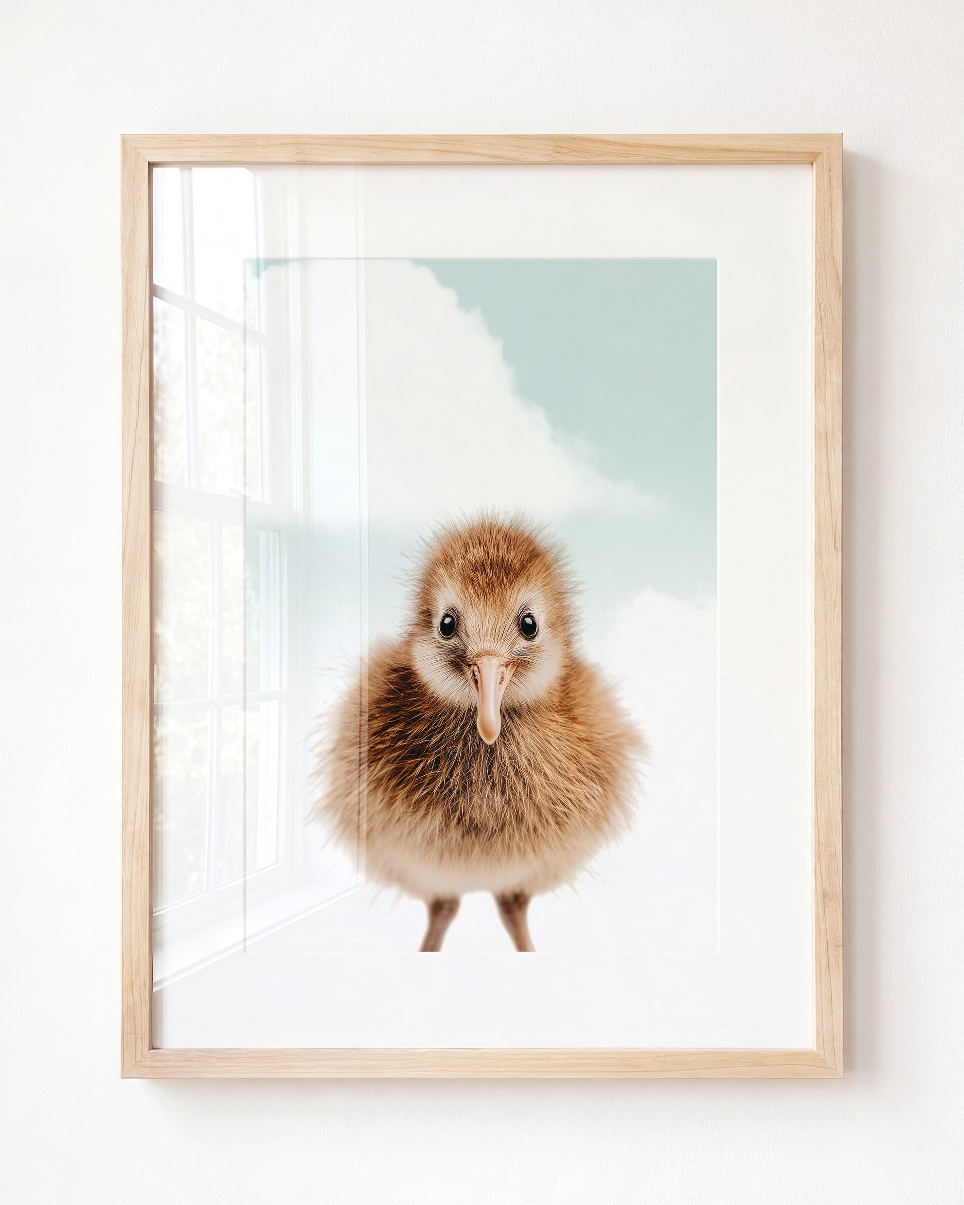 Baby Kiwi Bird