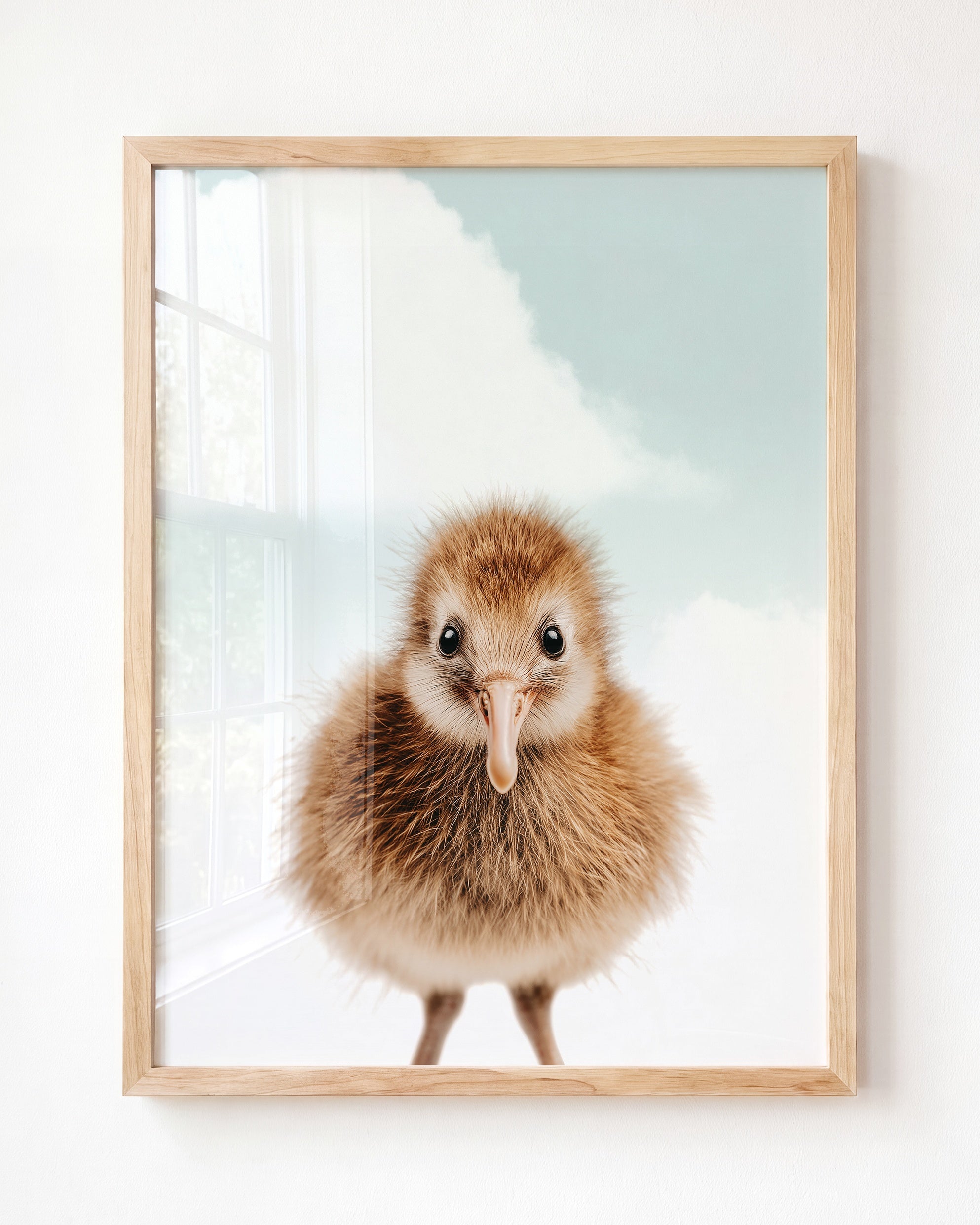 Baby Kiwi Bird