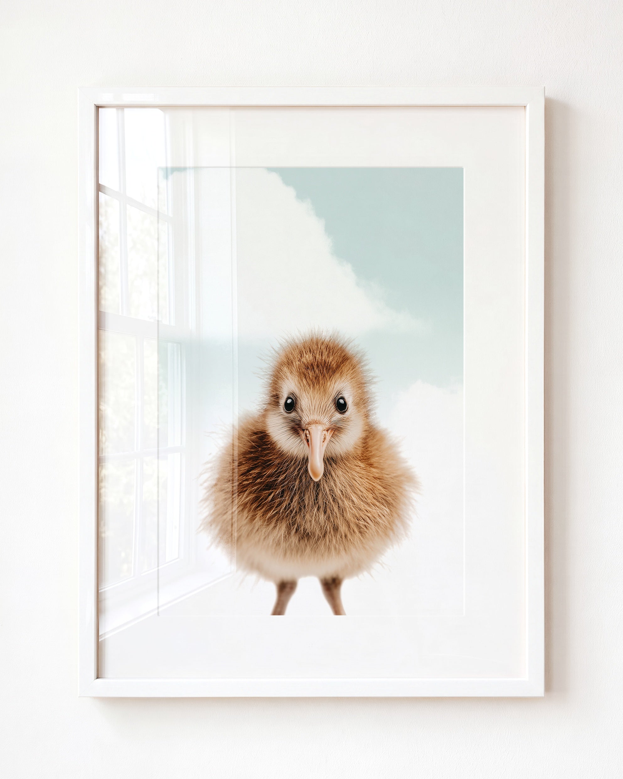 Baby Kiwi Bird