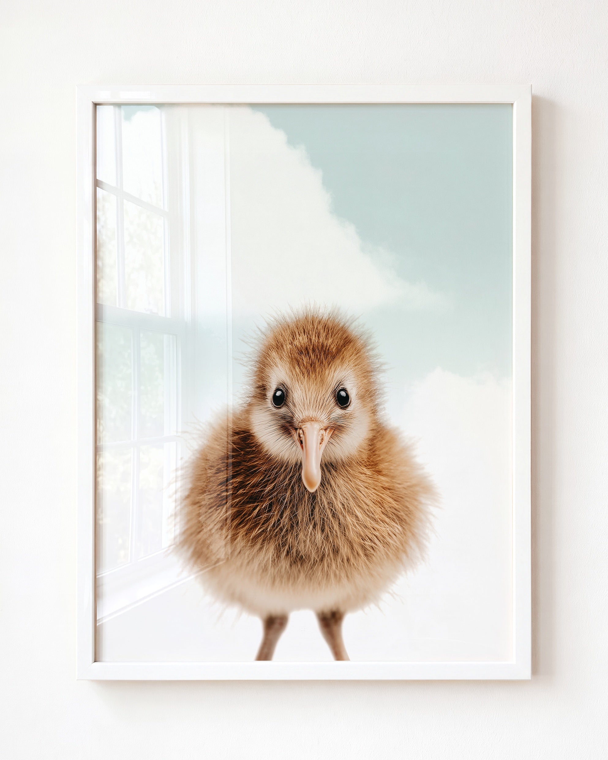 Baby Kiwi Bird