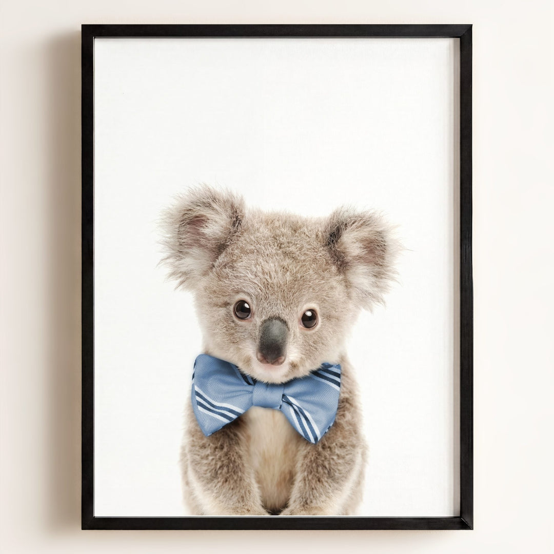 Baby Koala