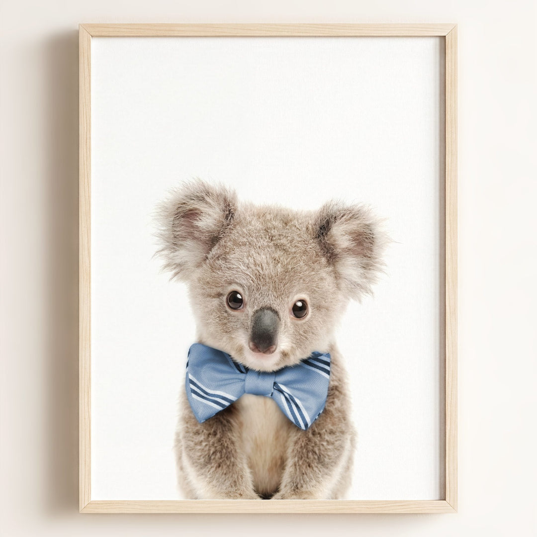 Baby Koala